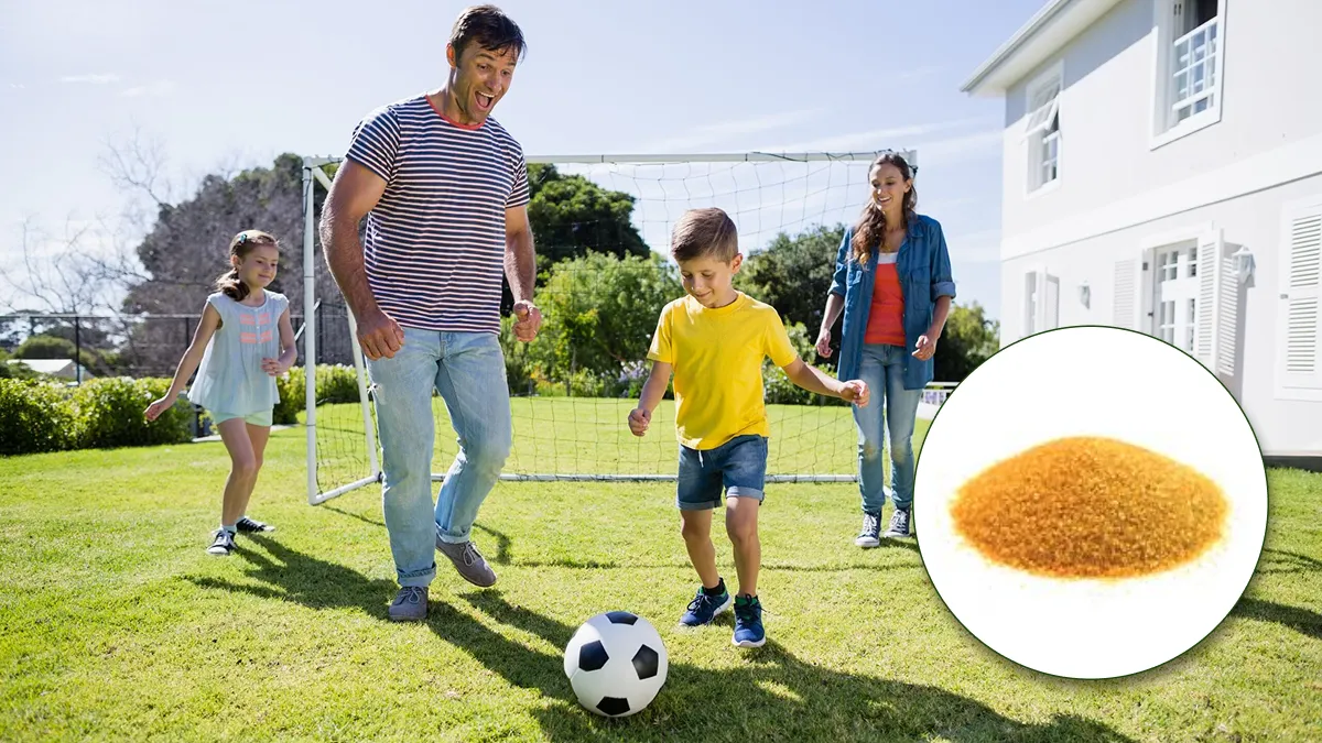 Family playing soccer on grass lawn with close-up of infill material