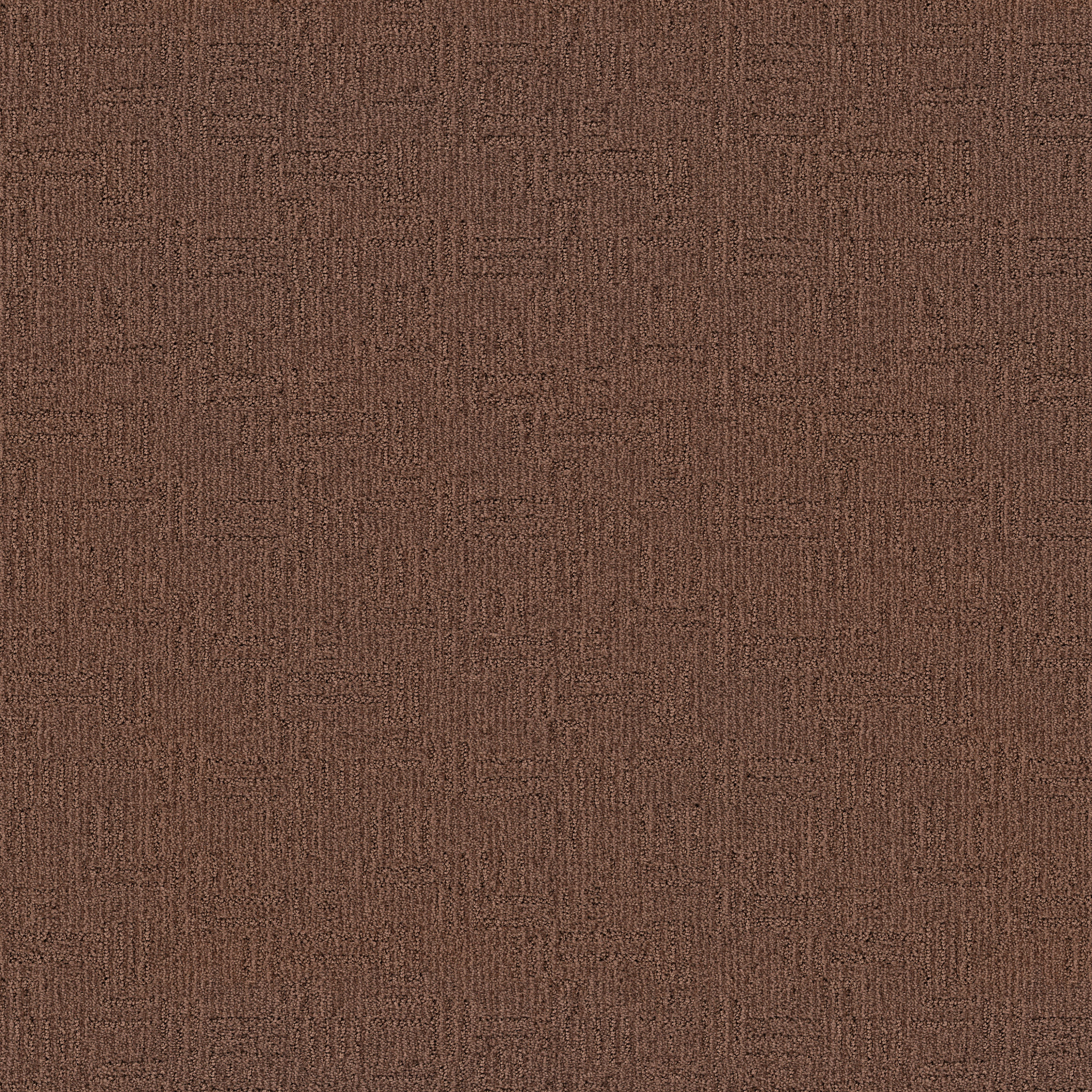 DIEGO FALLEN TIMBER MAIN