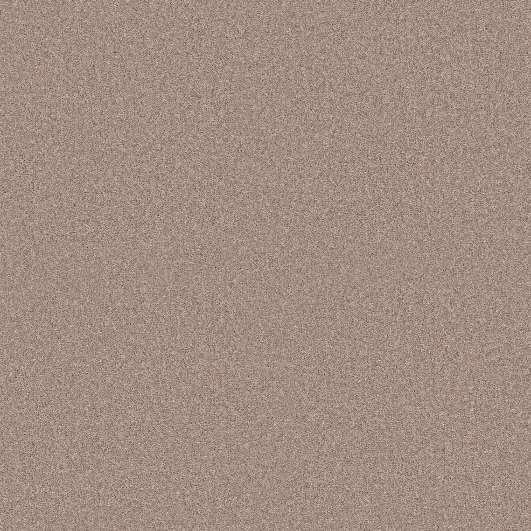 LACONA 15' PLASTER MAIN