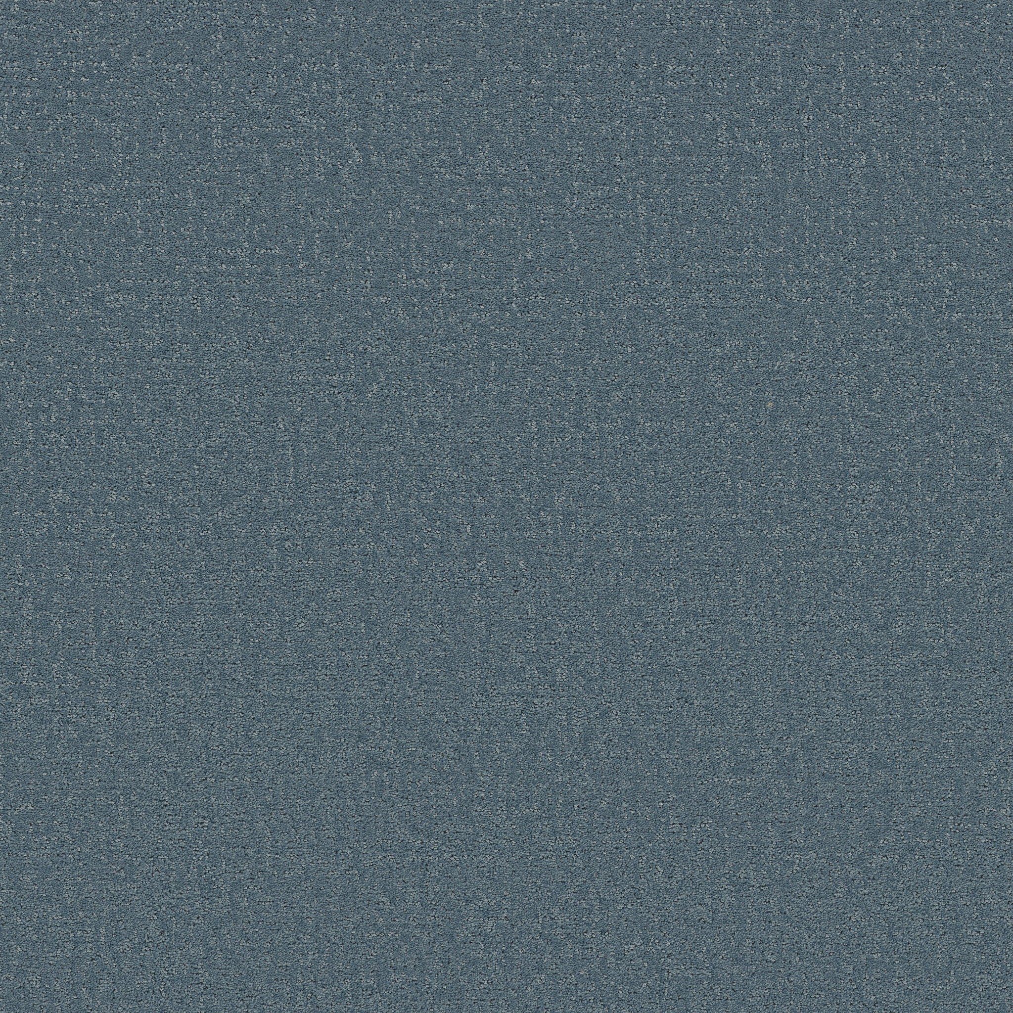 REFINED CANVAS SURF LESSONS MAIN