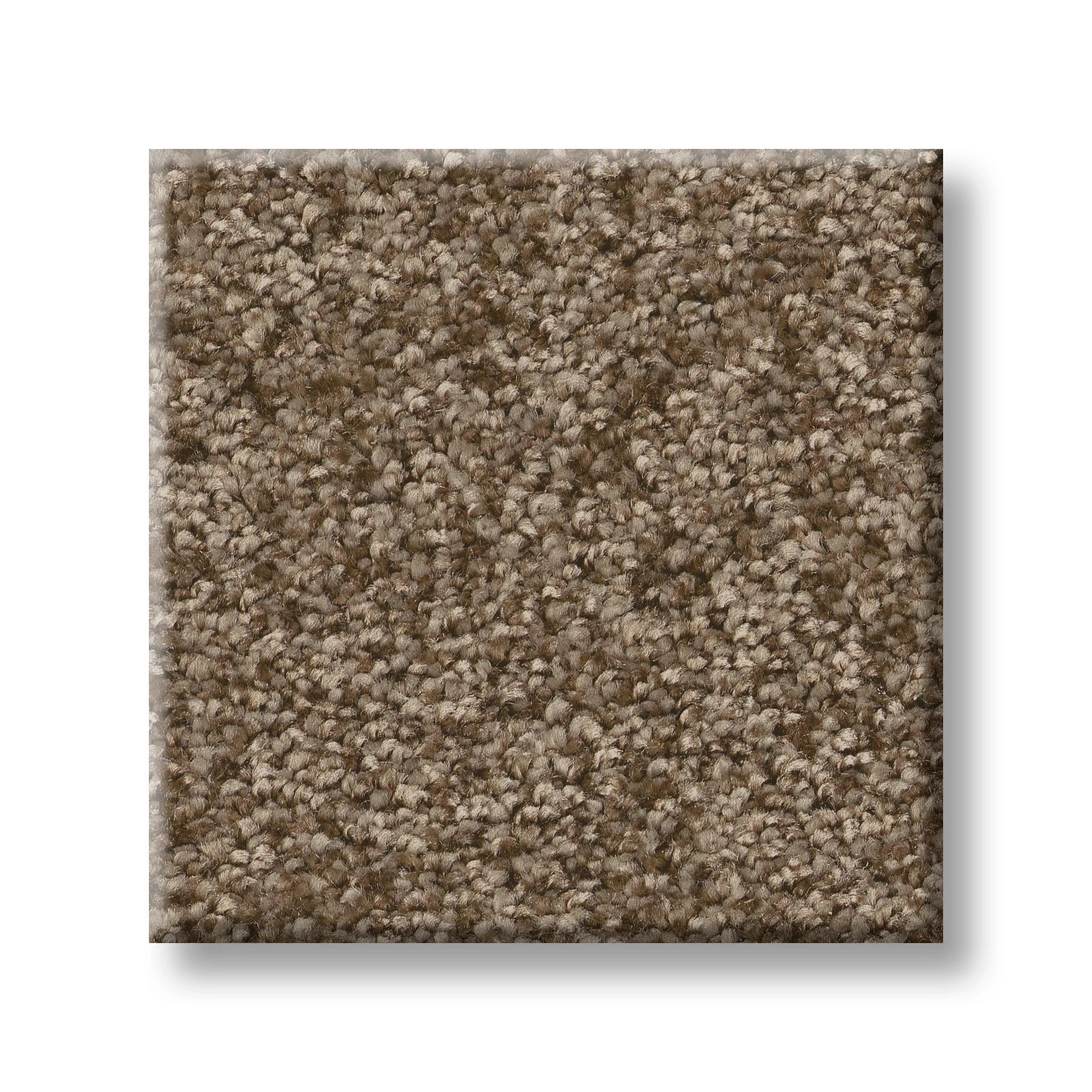 YOU GOT THIS II MISSION RIDGE SWATCH