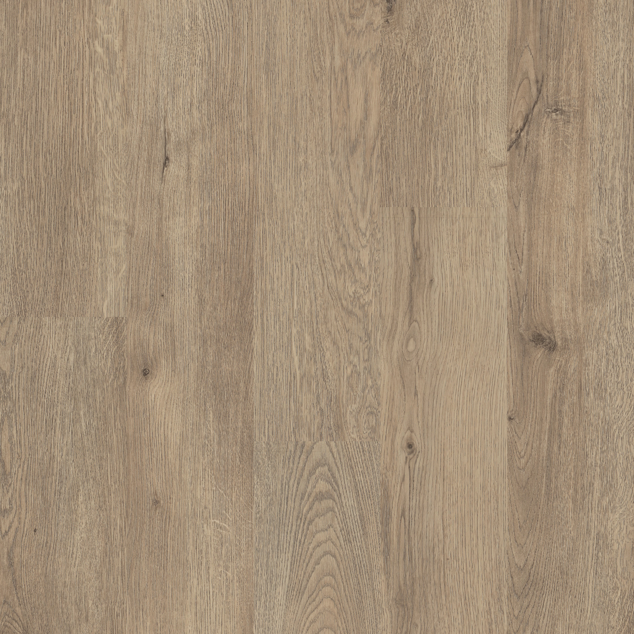 METROPOLIS-6-5M216-LOS-ANGELES-07306-main-image