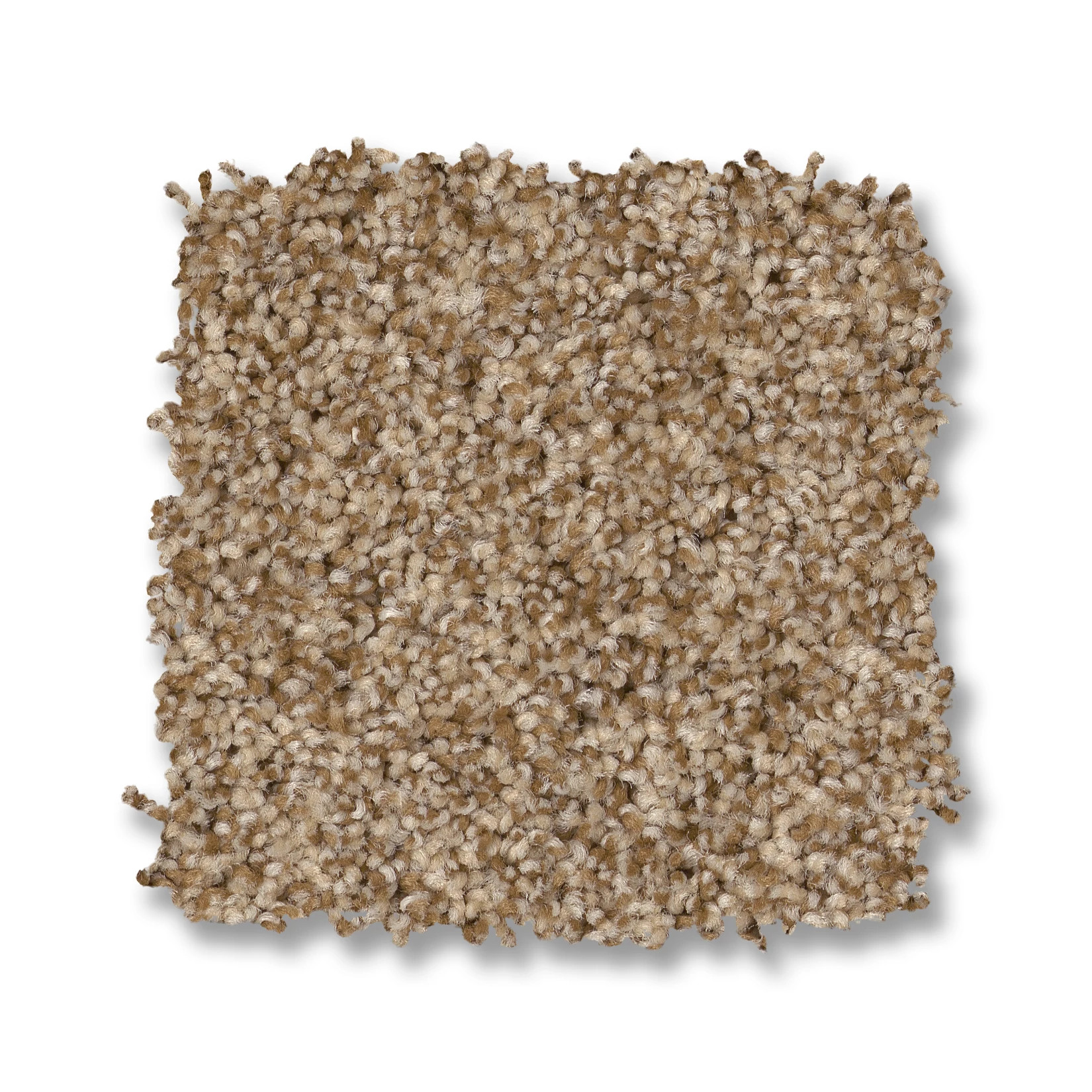 BOSSA NOVA HAZEL SWATCH