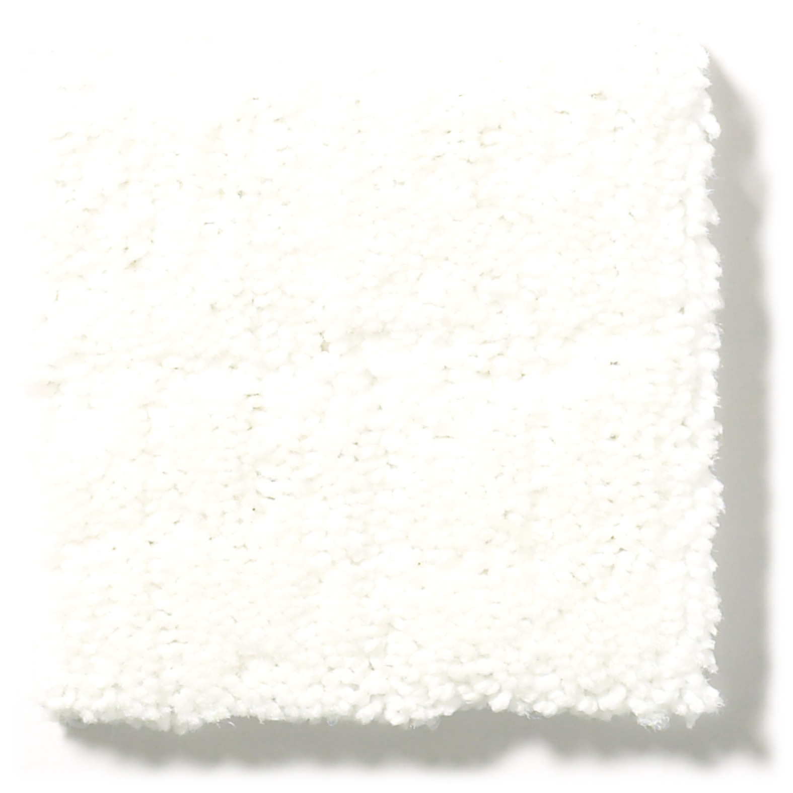 CREATING MEMORIES WEDDING DAY SWATCH