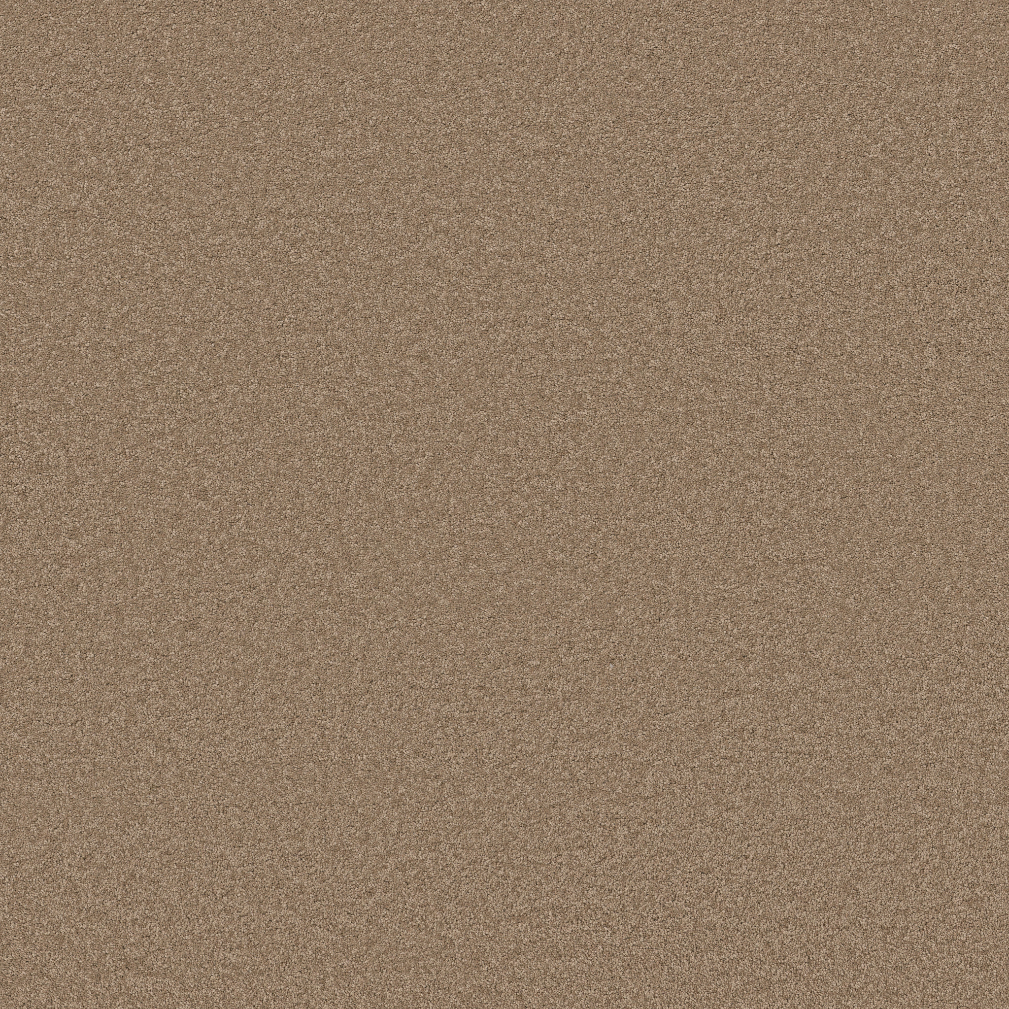 ELEGANT BEAUTY LATTE MAIN