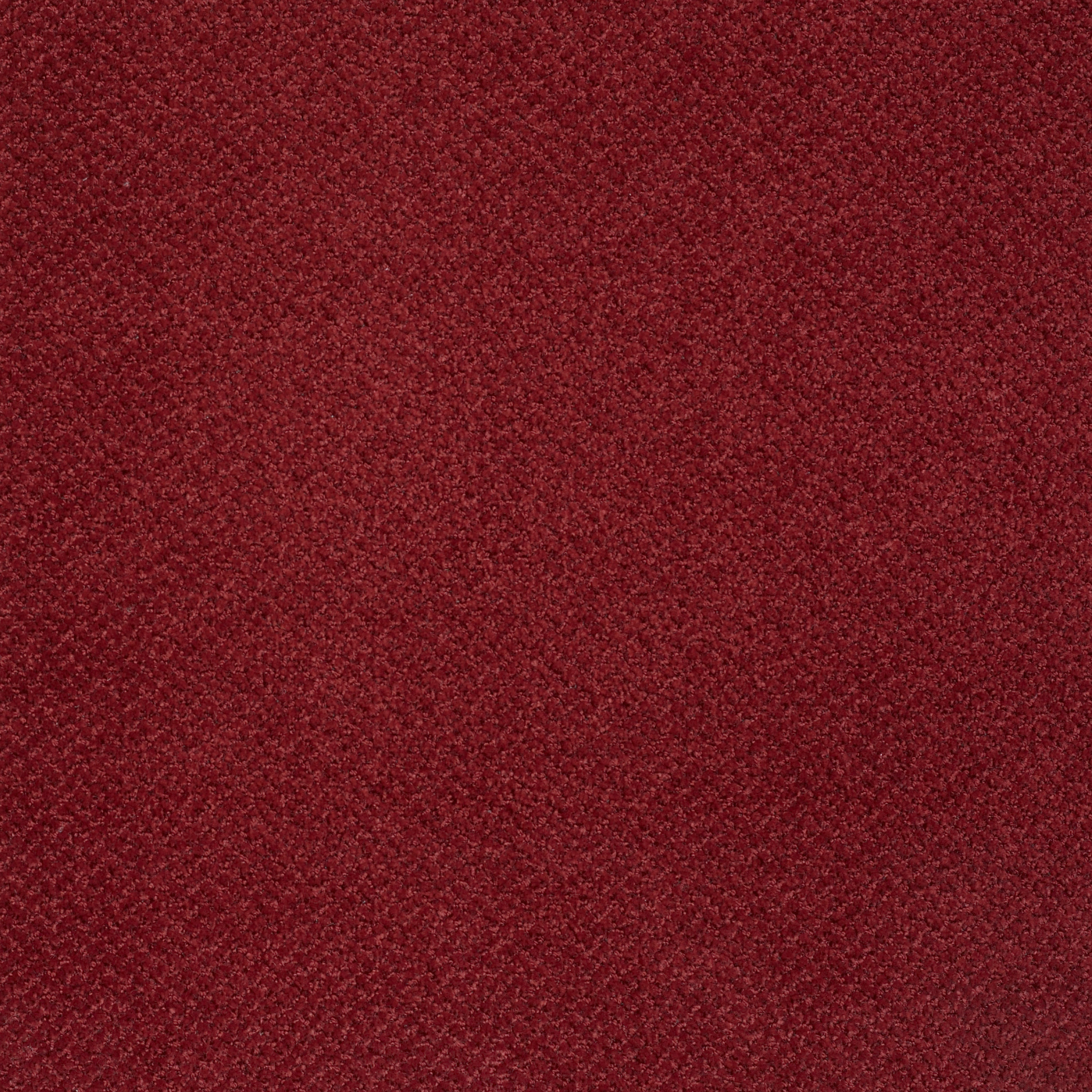 PRIMUS-54510-MOST-PRIZED-10800-main-image