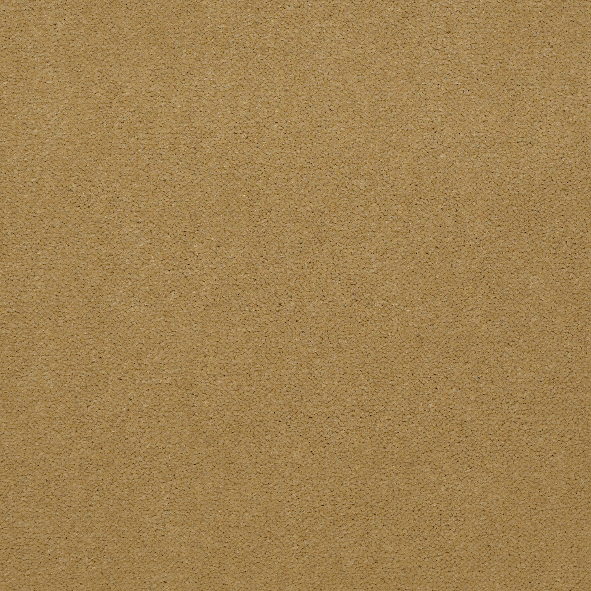 EMPHATIC-II-36-54256-HONEYWHEAT-56243-main-image