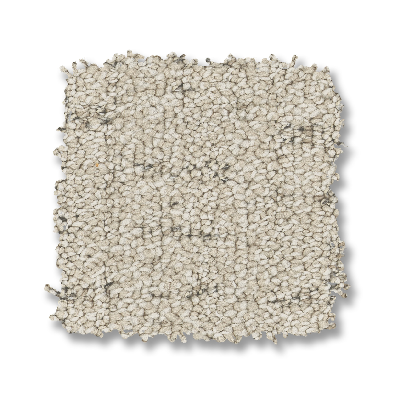 IN STEP CANVAS SWATCH