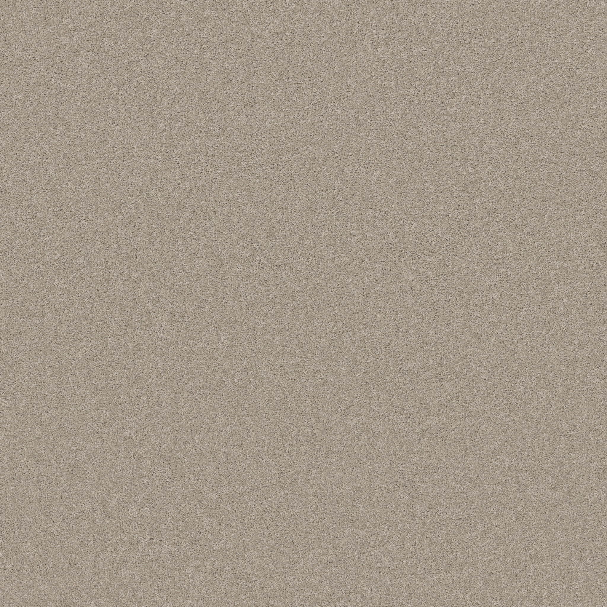 LOOK FORWARD SOFT CHAMOIS MAIN