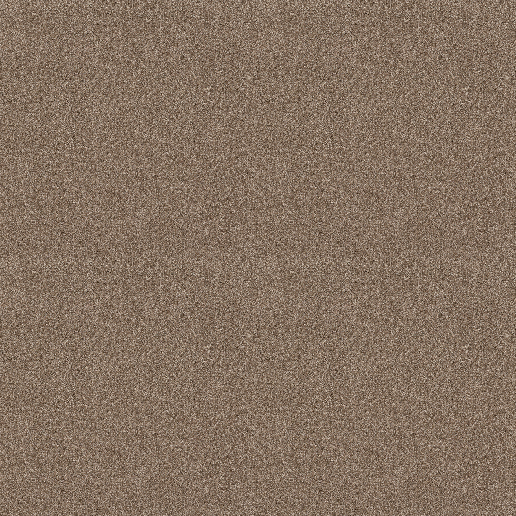 TONAL COMFORT BLUE CAMPING TRIP MAIN