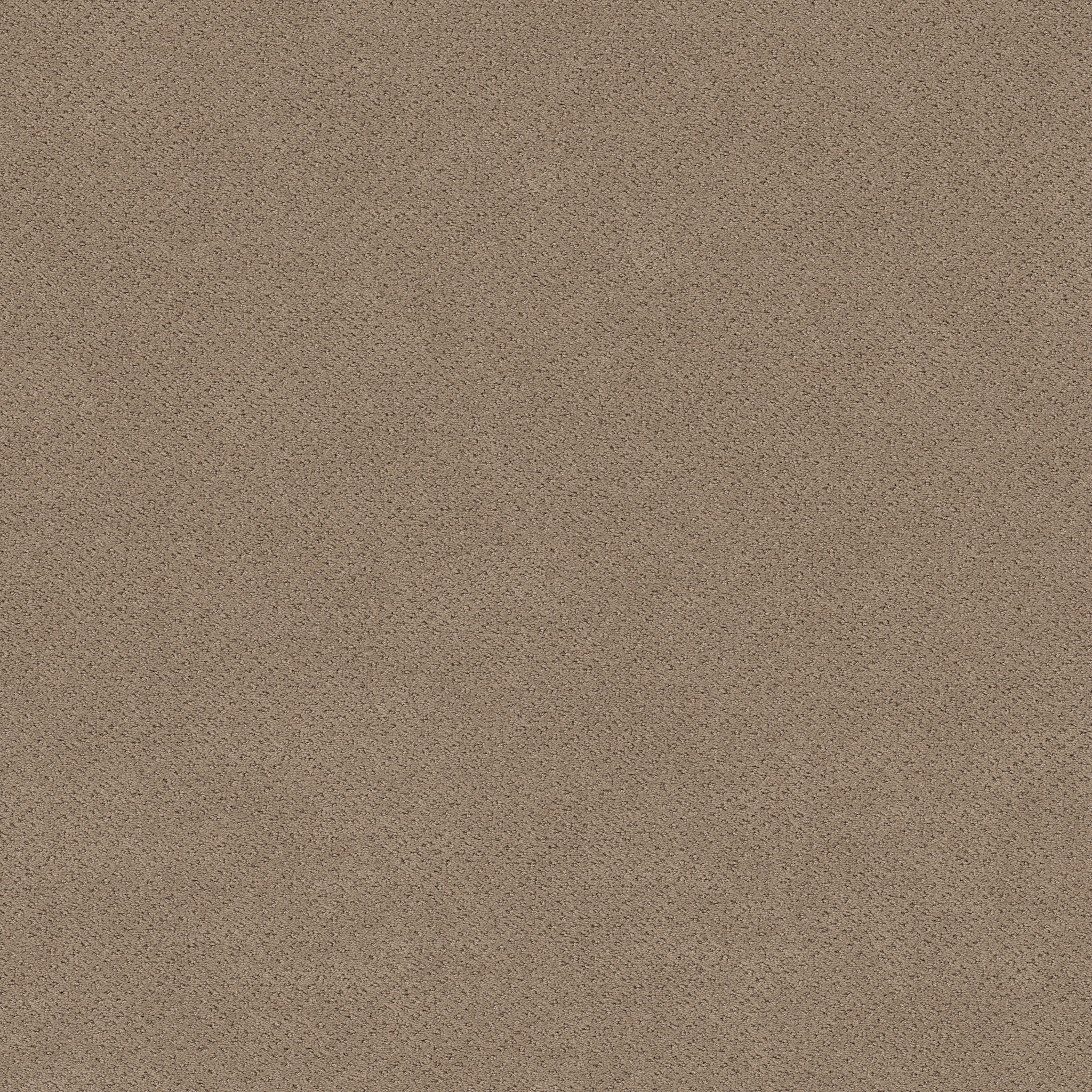 MAINSTAY DESERT VIEW MAIN