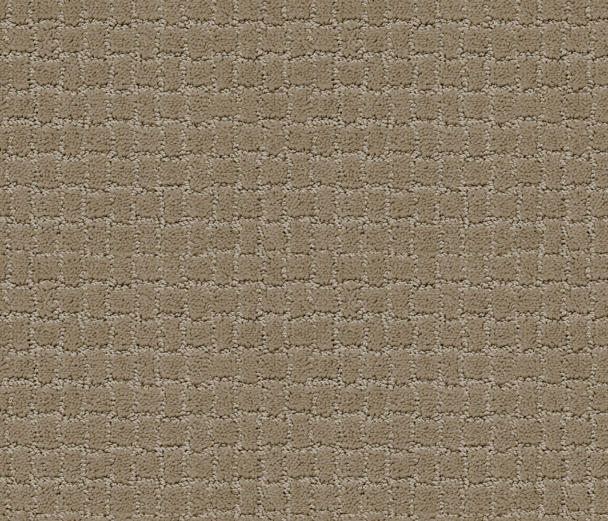 PAWSTRUCK DRIFTWOOD MAIN