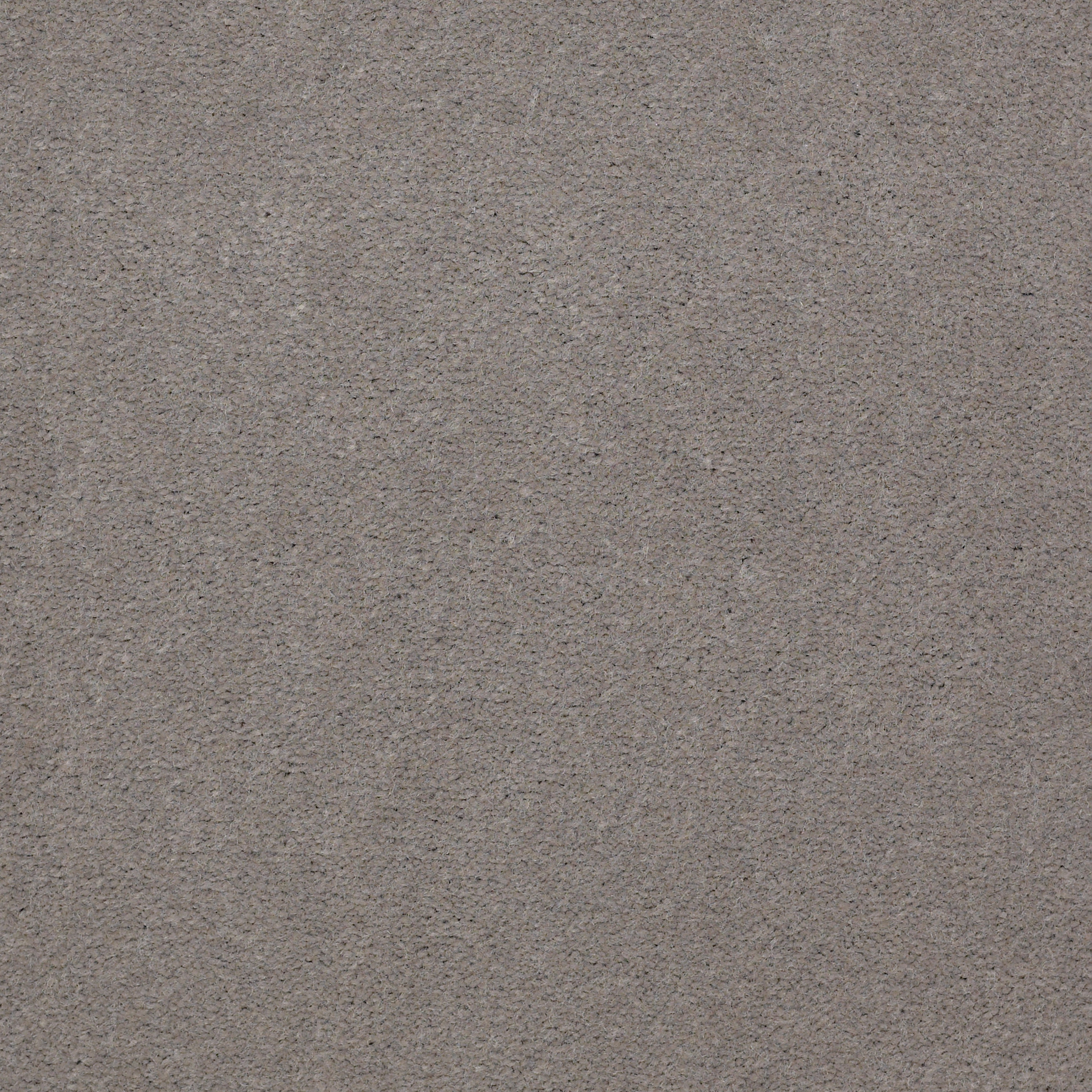 EMPHATIC-II-30-54255-GRAY-HARE-56510-main-image