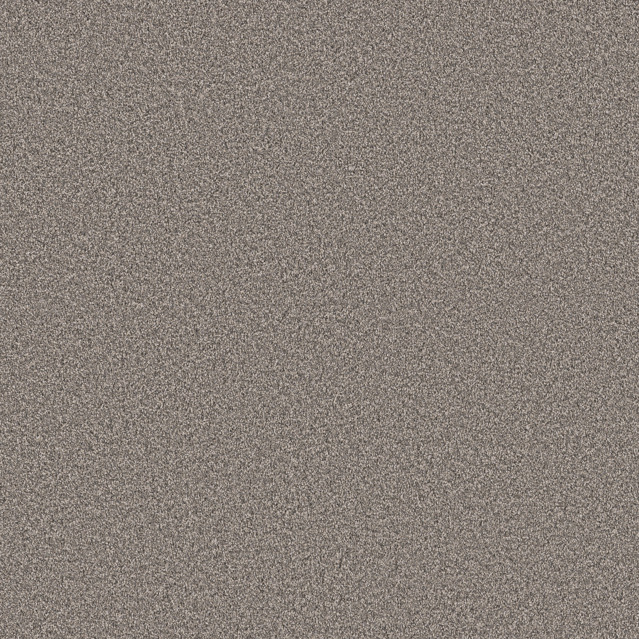 GRAND INFLUENCE II EARTH TONE MAIN