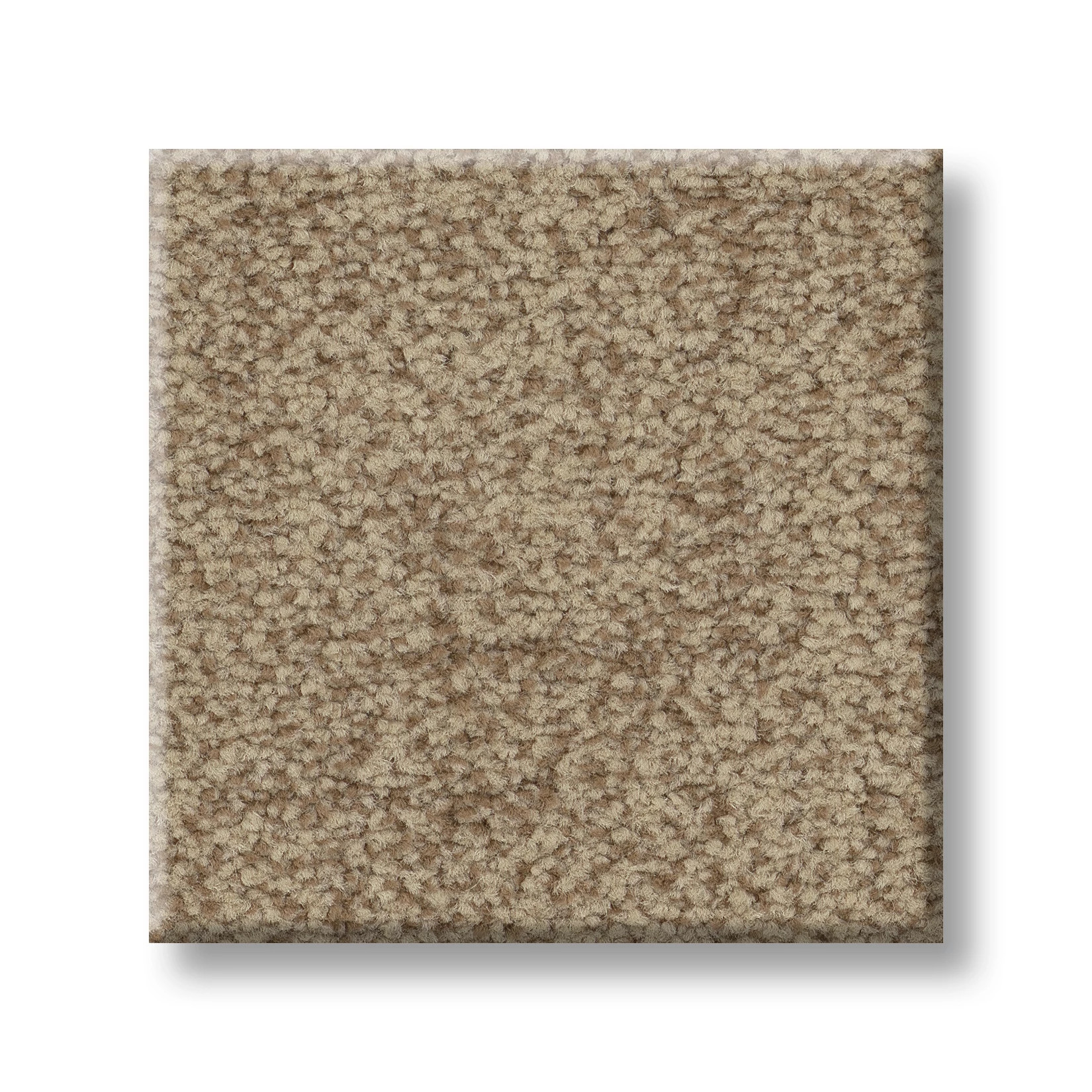 SILHOUETTE CANYON SWATCH