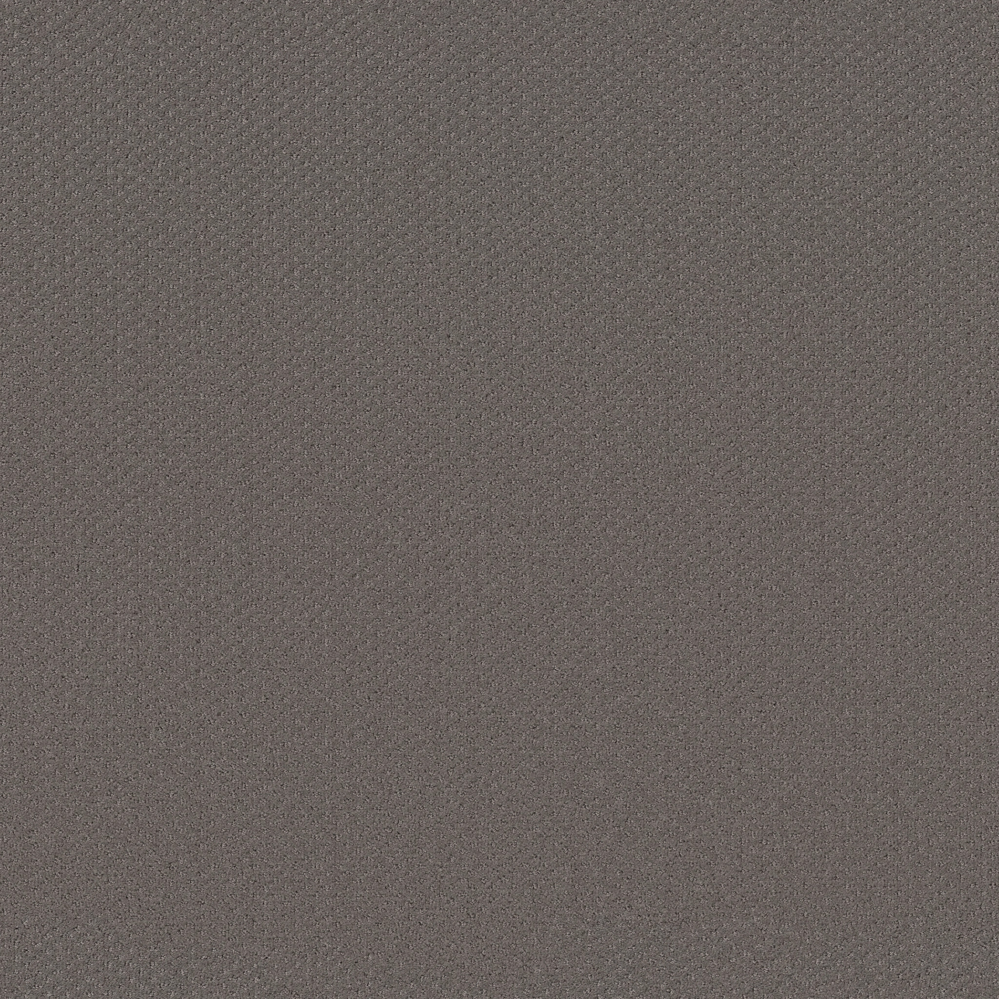 AUSTIN PARK MIDTOWN MAIN