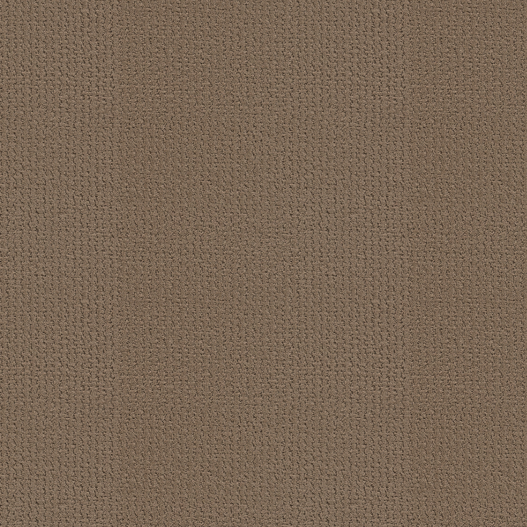 WARM MEMORIES CAMPING TRIP MAIN