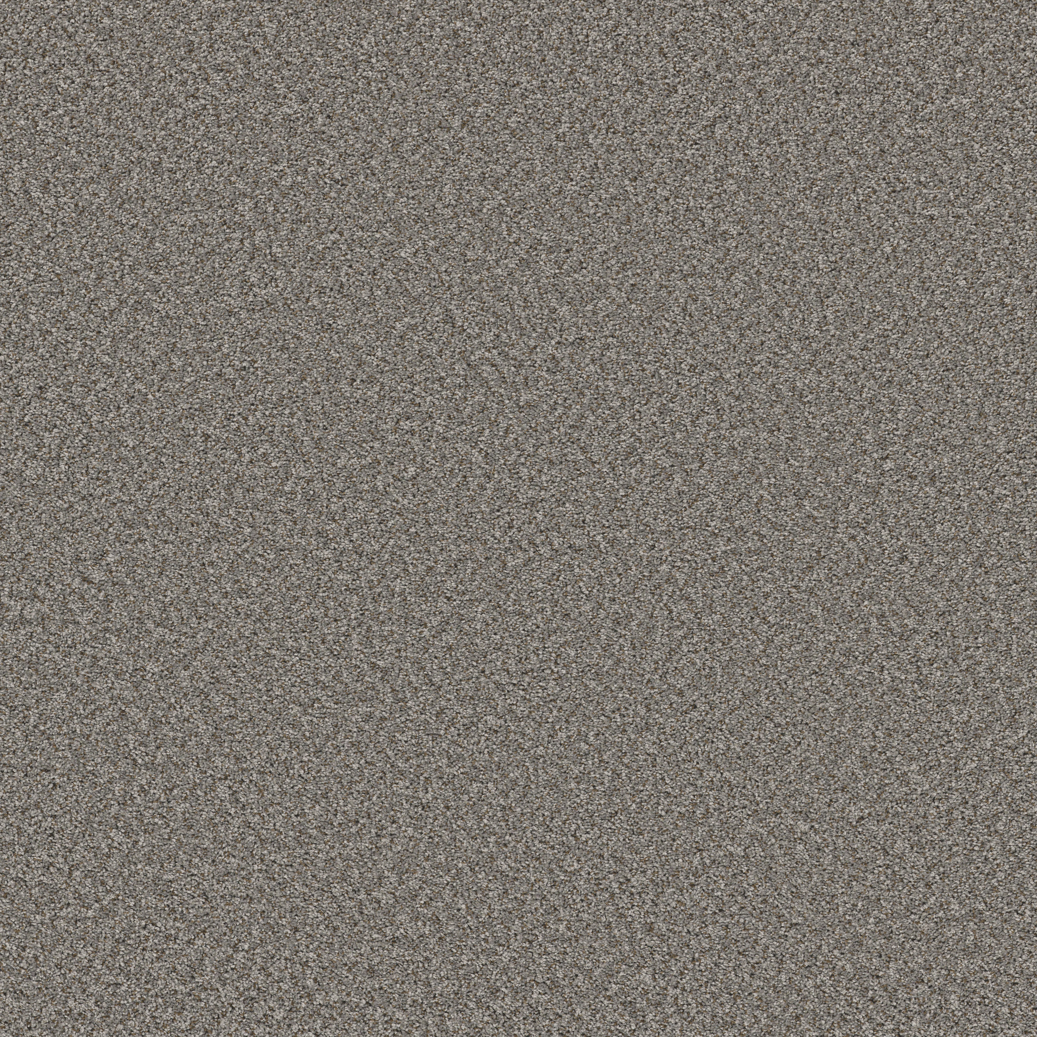 FEELIN' ALRIGHT WASHED SUEDE MAIN