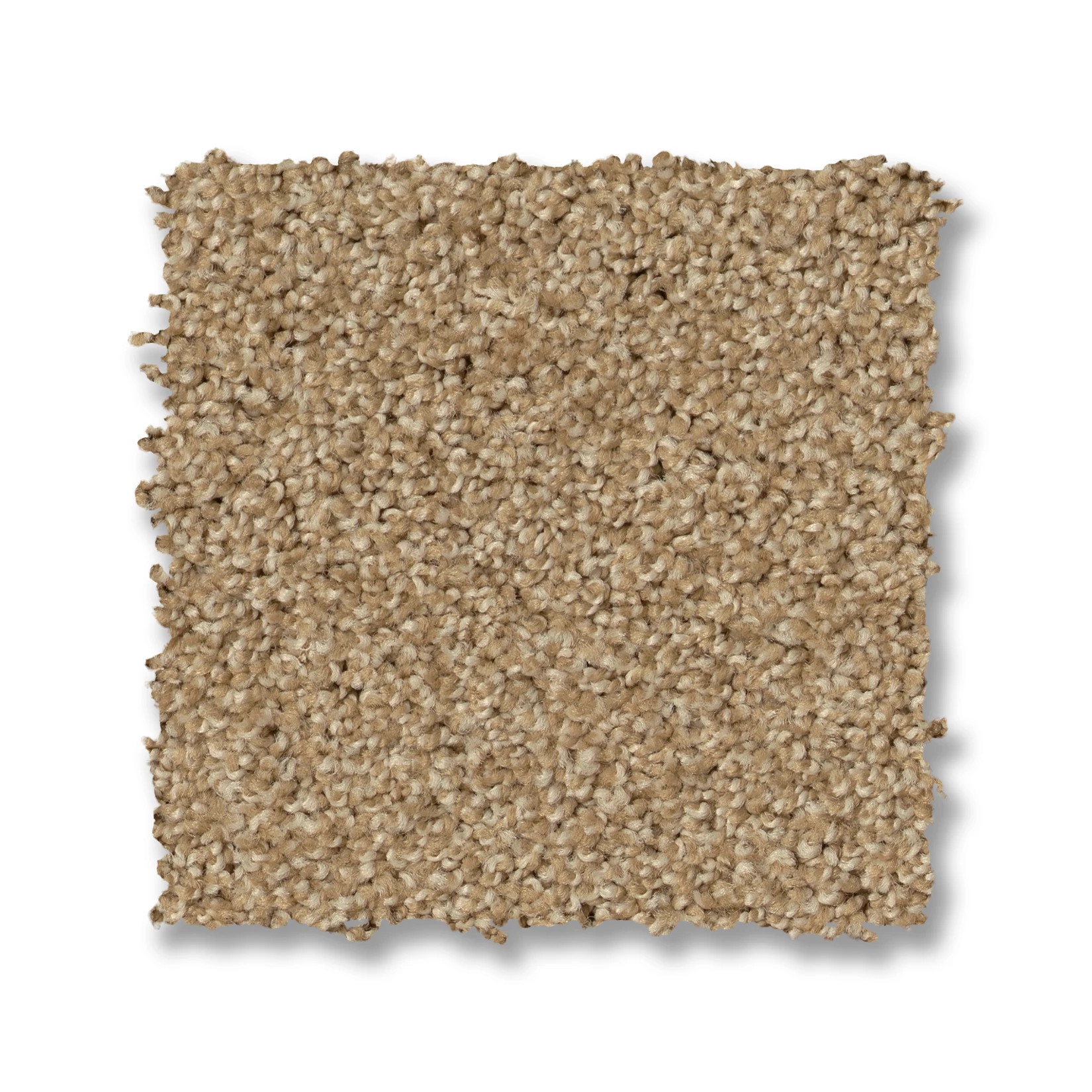 PARK HAVEN FARRO SWATCH