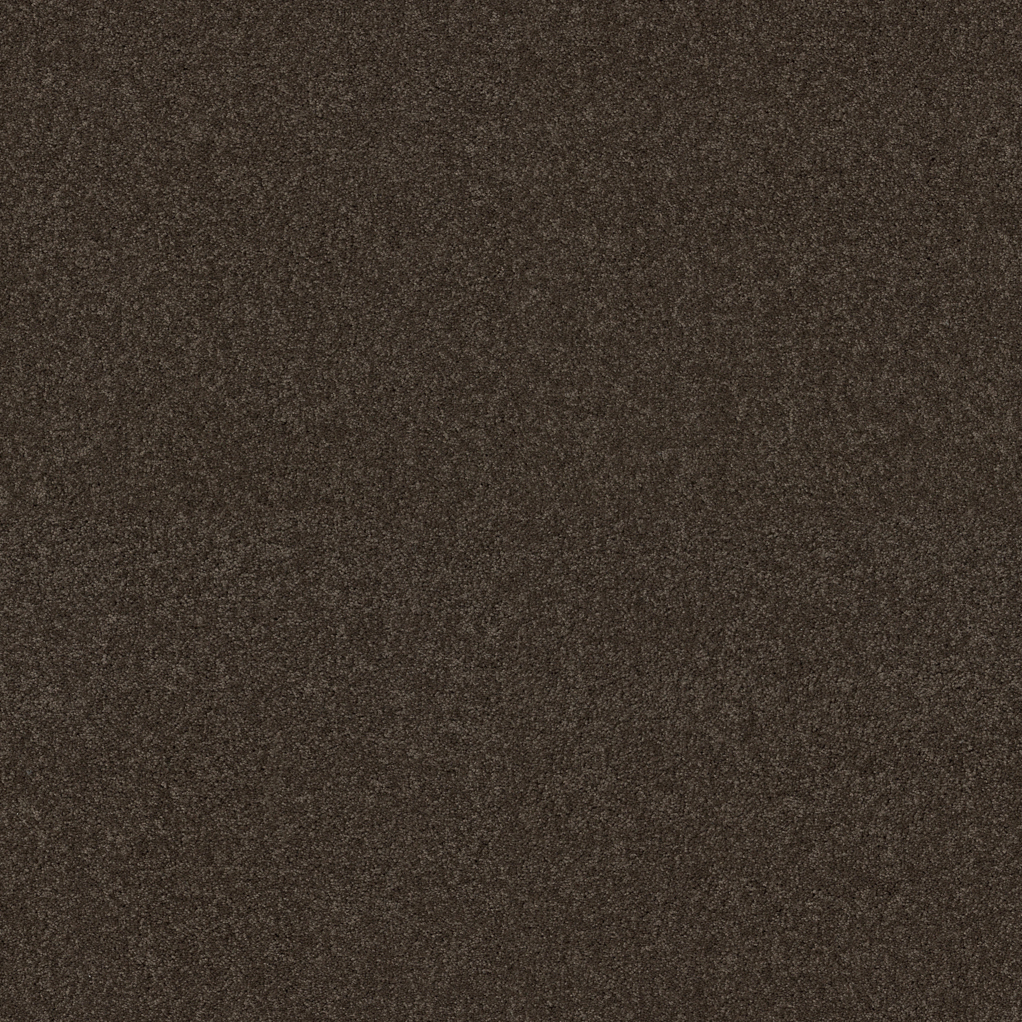 WHAT'S UP MAPLE MAIN