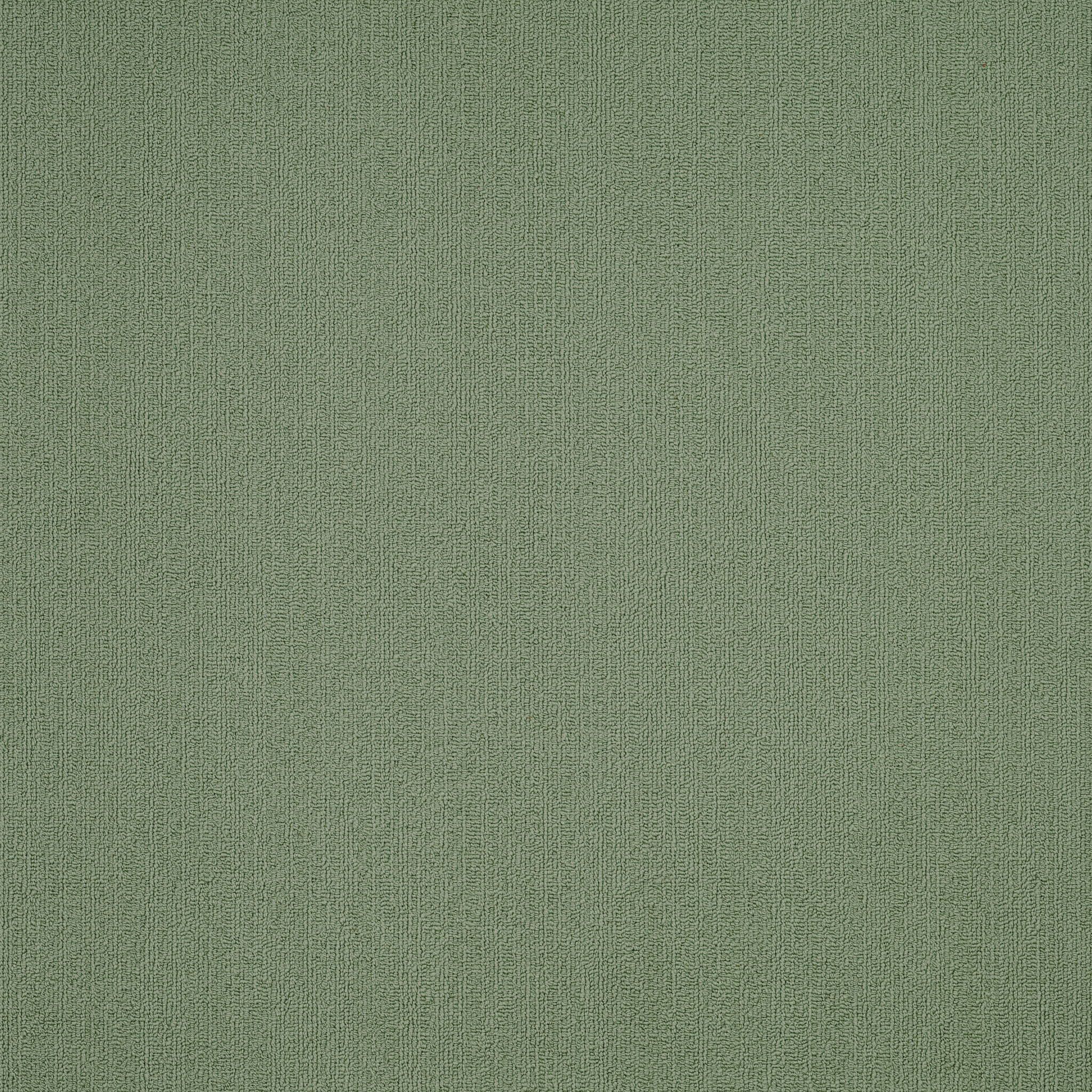 COLOR-ACCENTS-54462-FOLIAGE-62310-main-image