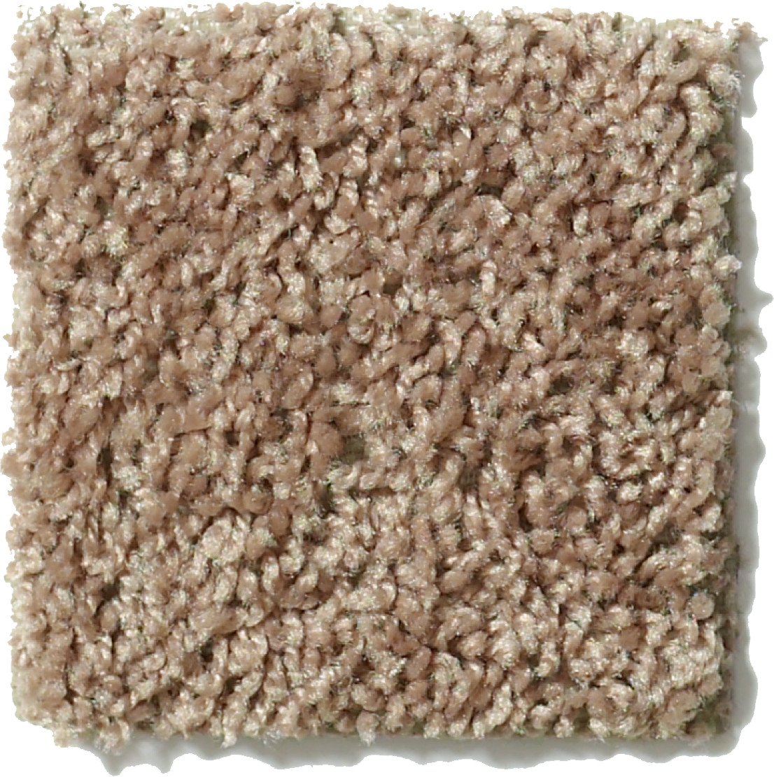 EXPECT MORE (S) VINTAGE TAN SWATCH