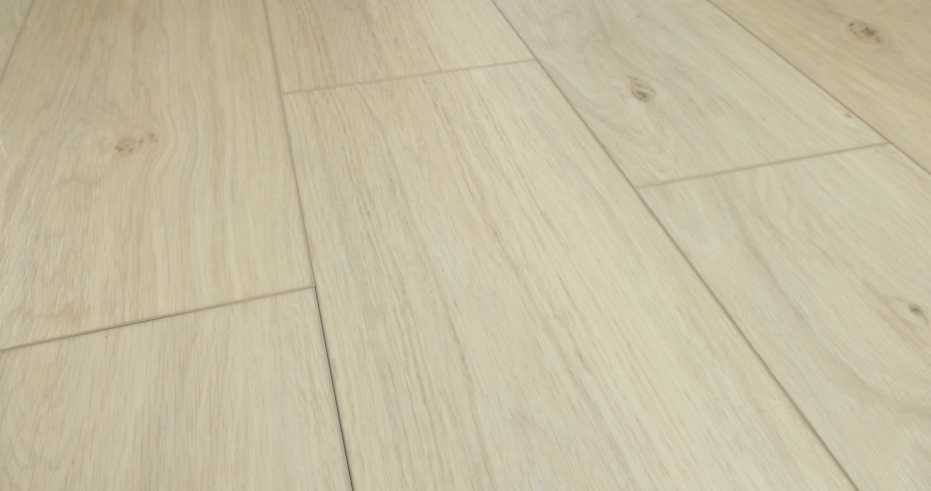 FRESH TAKE WISHBONE WHITE 360PROD