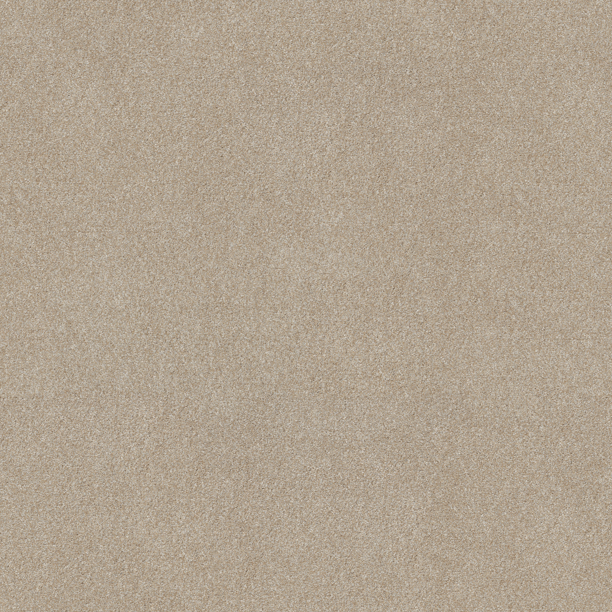 GOOD IDEA PRACTICAL BEIGE MAIN