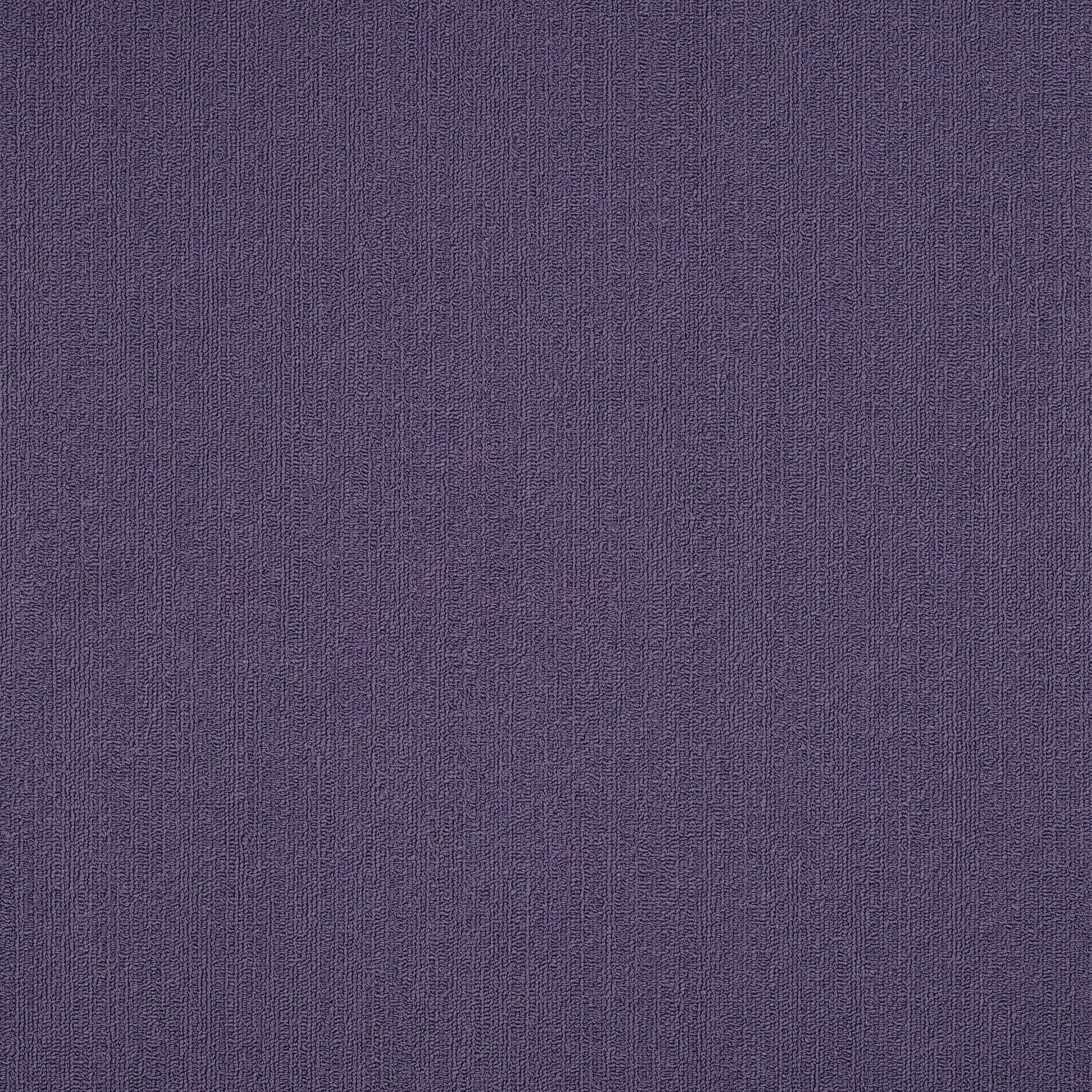 COLOR-ACCENTS-54462-PLUMBERRY-62965-main-image