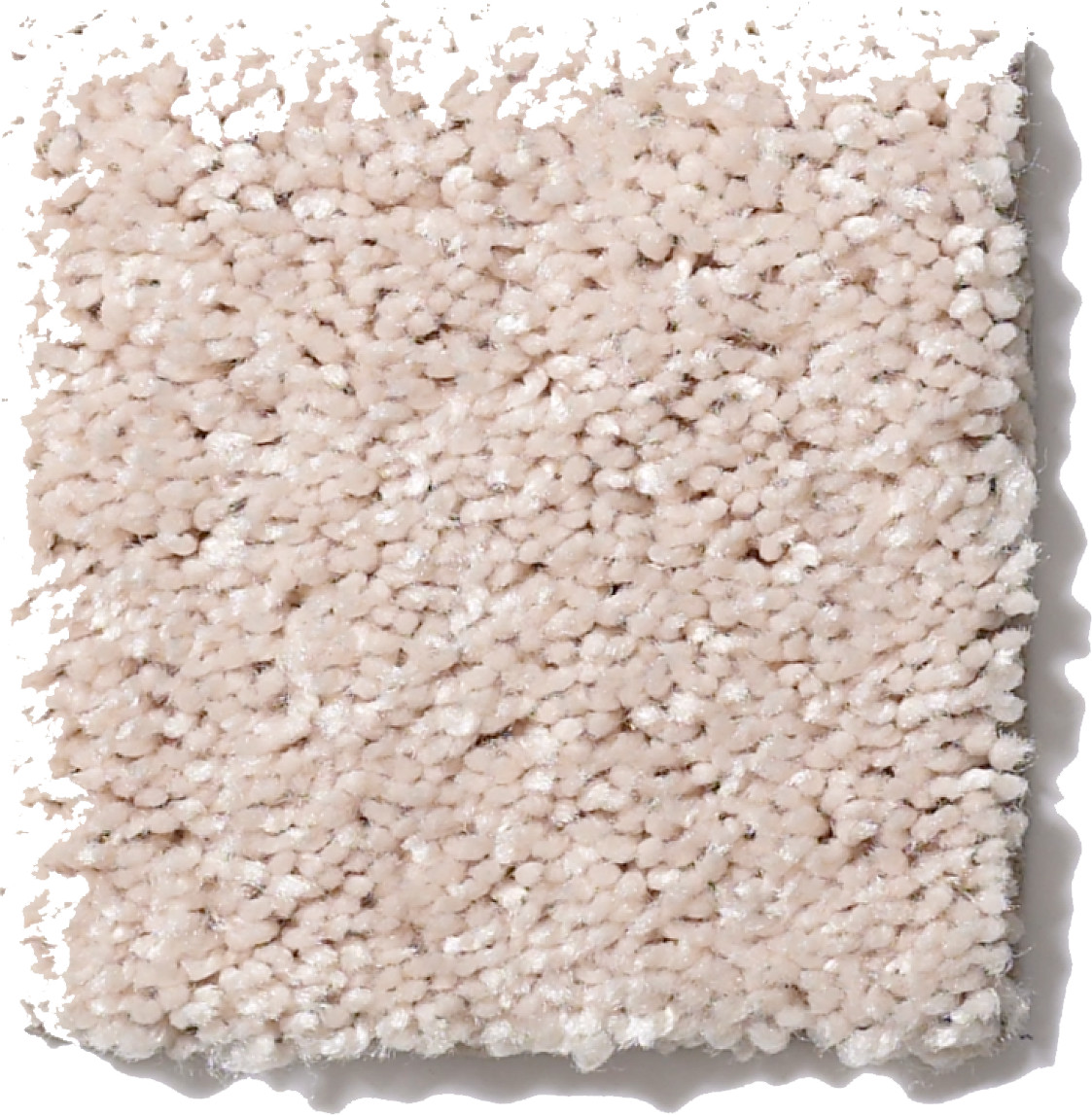 ROYAL PORTRUSH III 15' BUTTER CREAM SWATCH