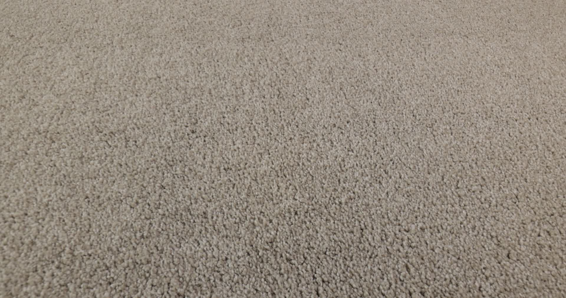 YOU KNOW IT CATNIP 360PROD