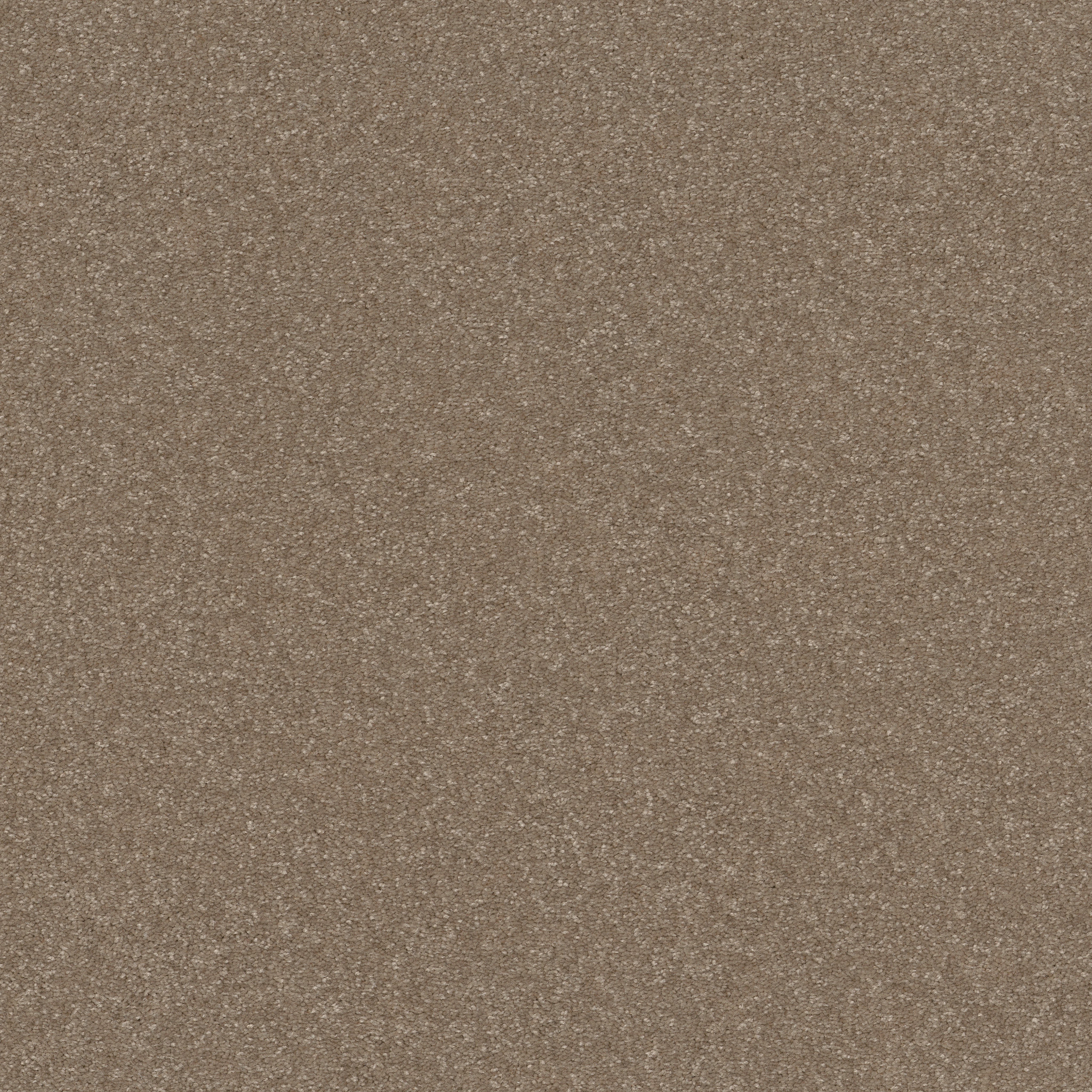 HARD AT PLAY I 12' CAMEO MAIN