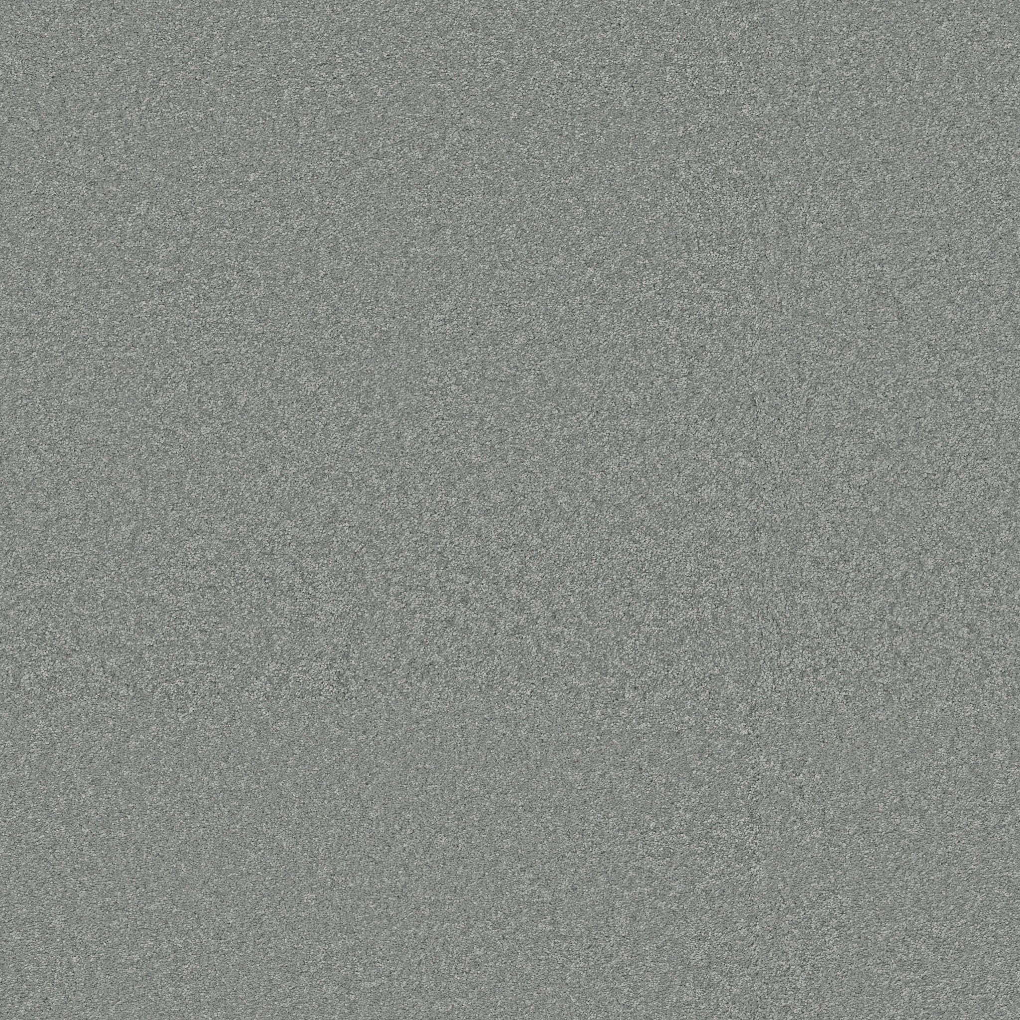 WAY TO GO II DOLPHIN FIN MAIN