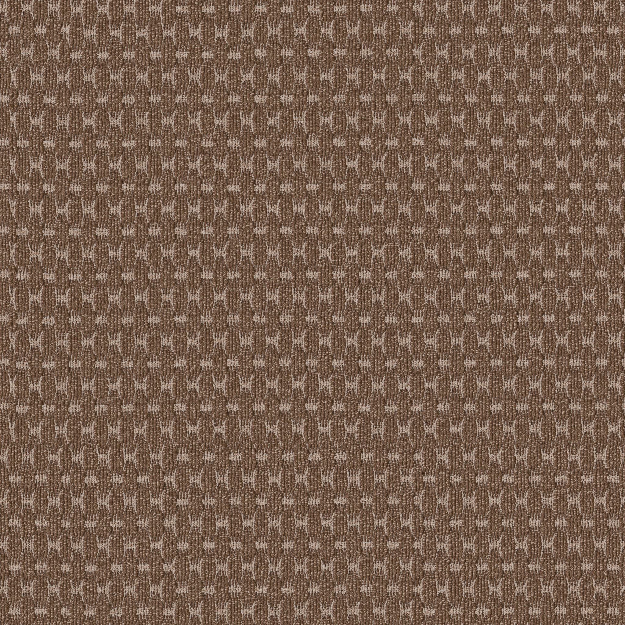 Havencrest - 100% ANSO® High Performance Nylon in Cedar