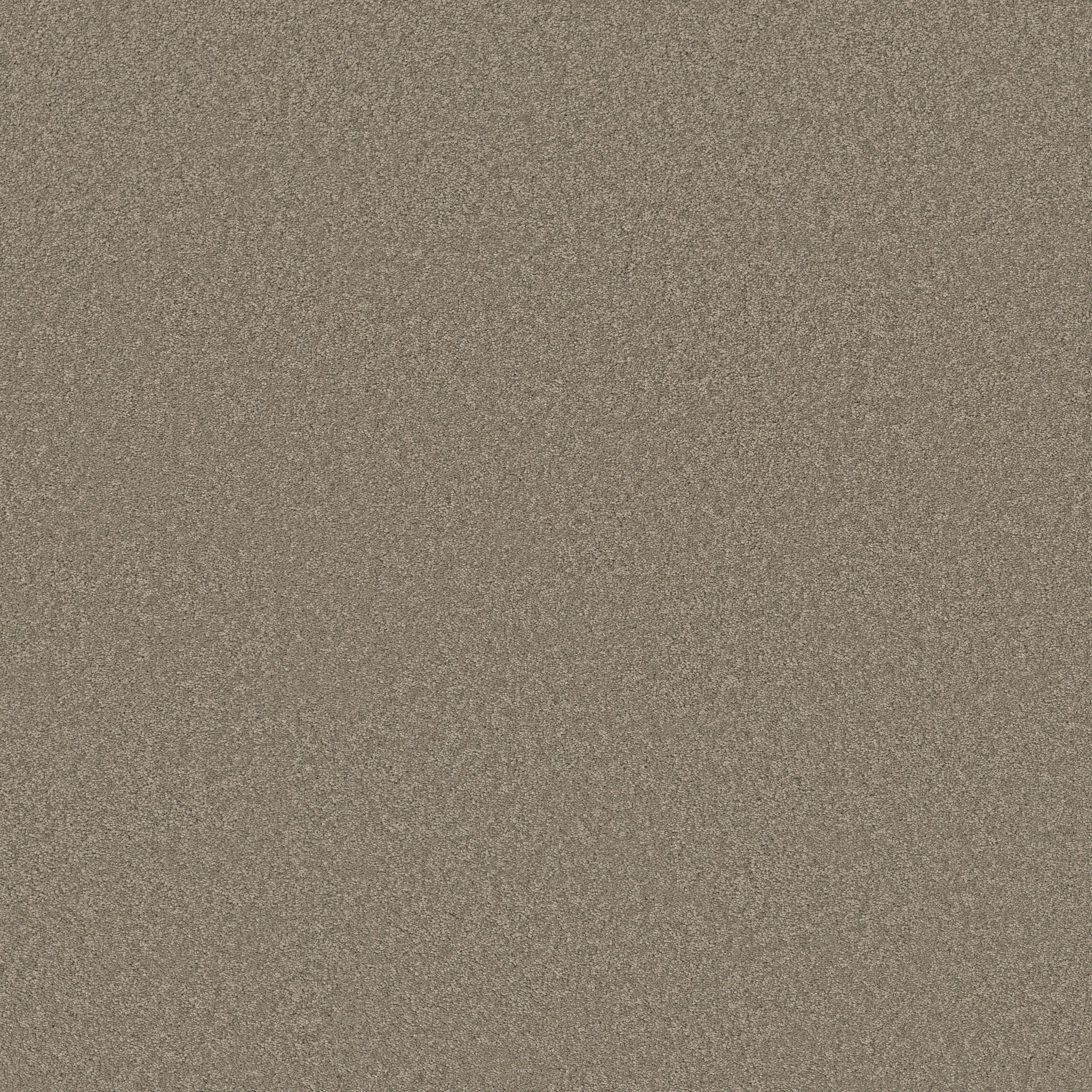 ELEGANT BEAUTY ATMOSPHERE MAIN