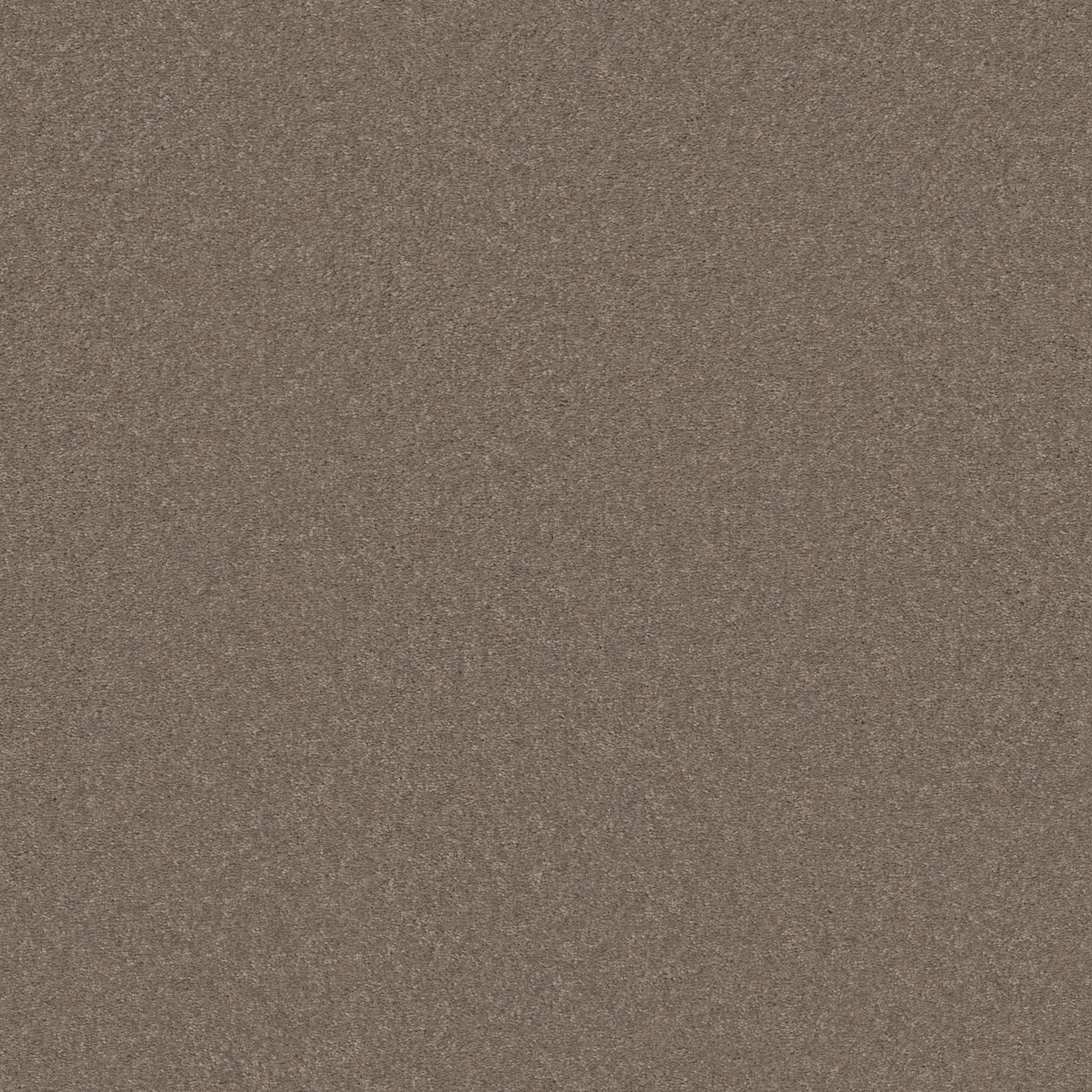 STEP RIGHT UP I 15&#x27; MOCHA FROST MAIN