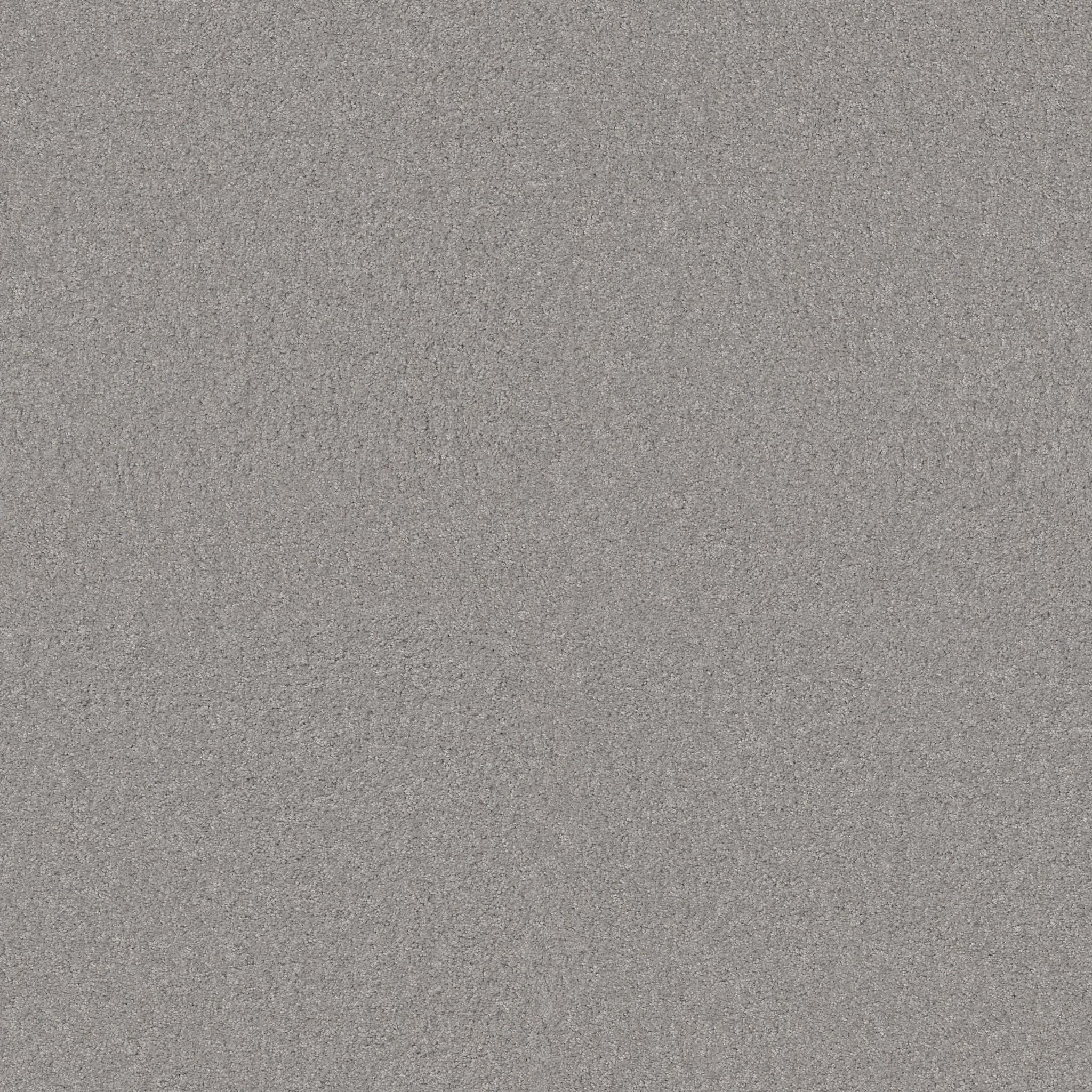 GRAND IMAGE I SHEER SILVER MAIN