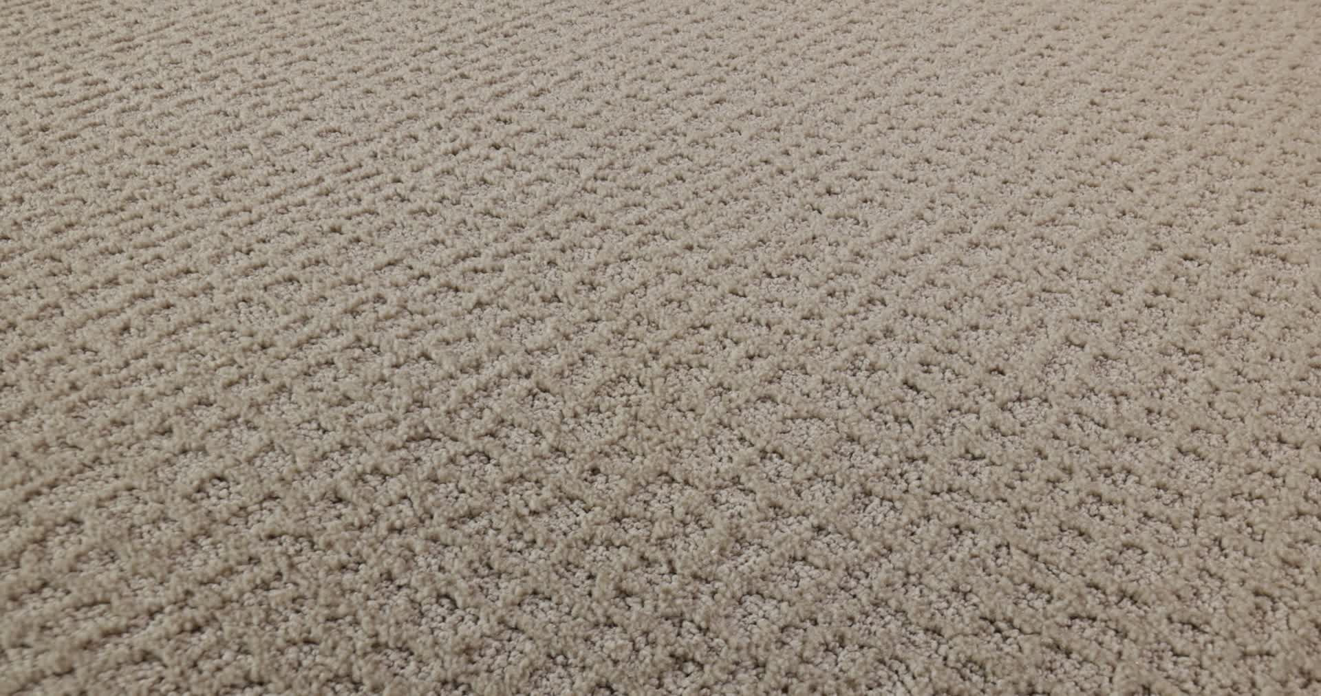 CHIC SHADES BUTTER CREAM 360PROD