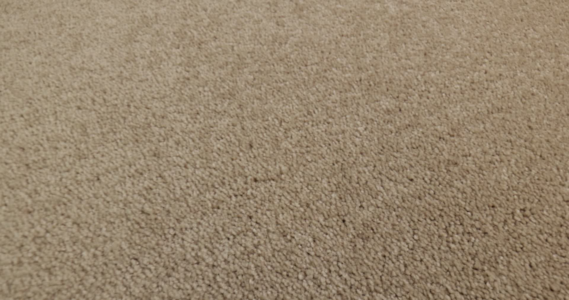 HOLLYWOOD REGENCY II 15' SAND DOLLAR 360PROD