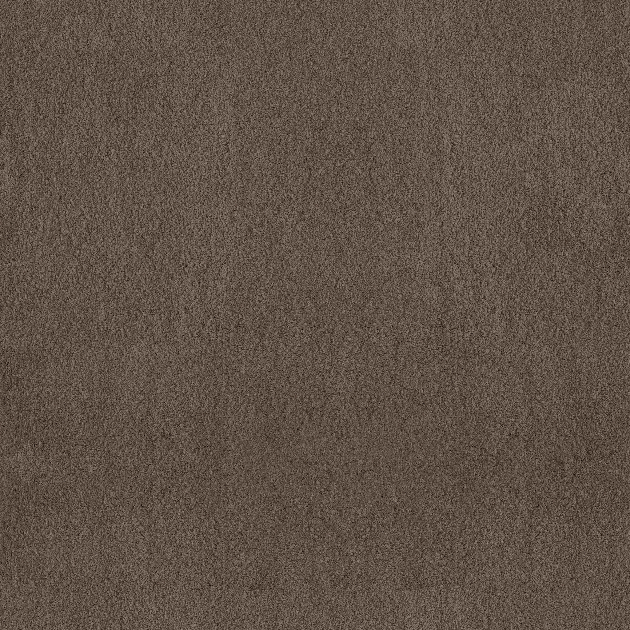 LUXE FEEL II MESQUITE MAIN