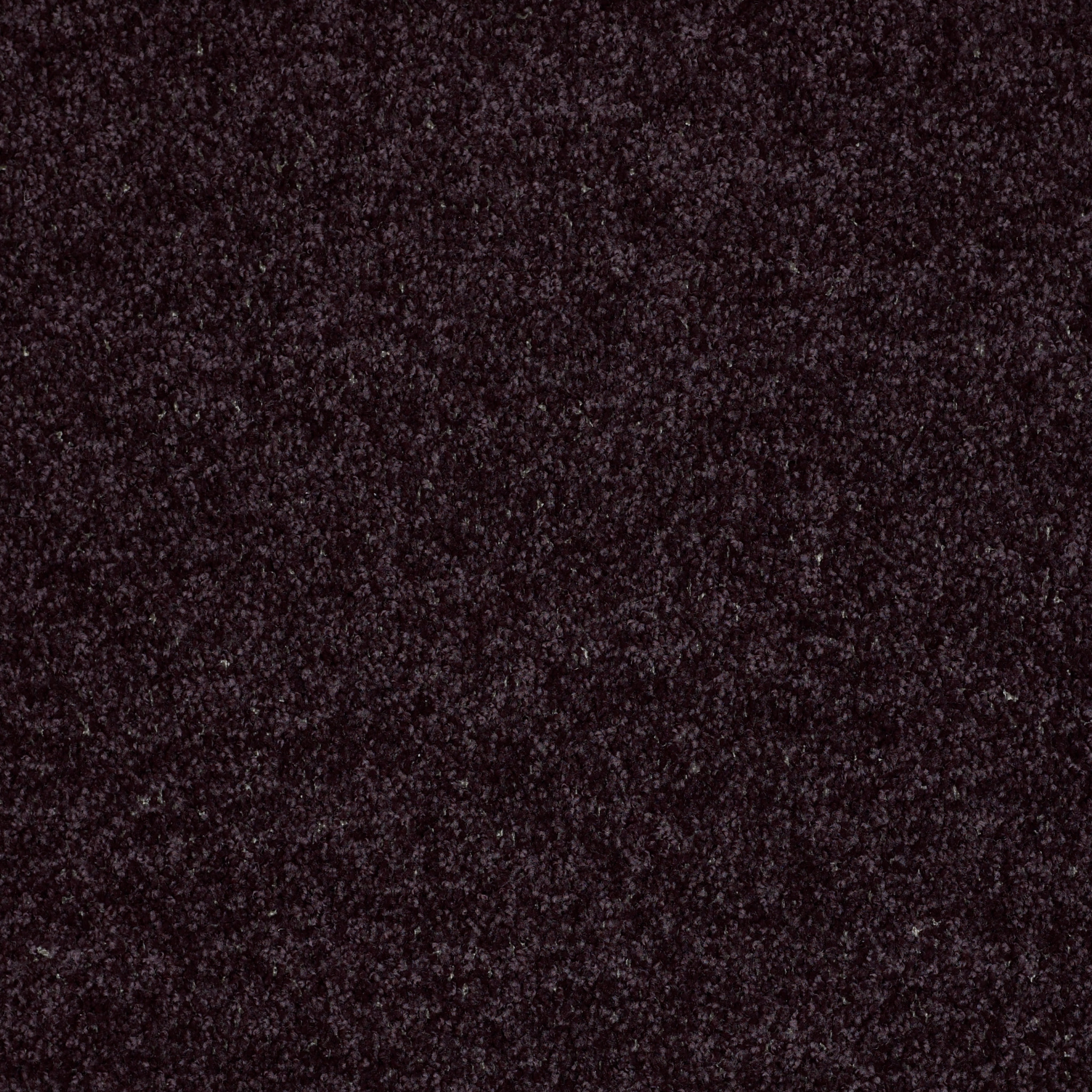 ROYAL PORTRUSH I 12' ARMOUR MAIN