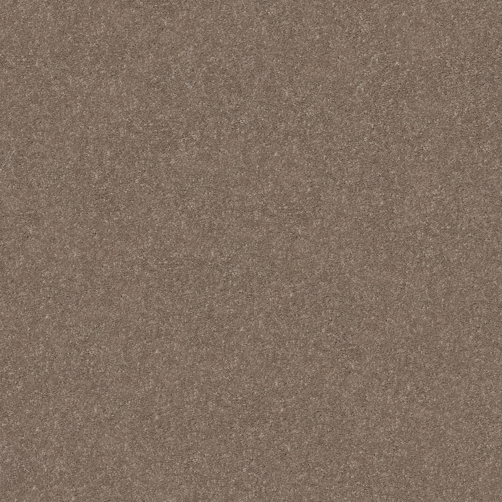 SMOOTH TALK II CEDAR KEY MAIN