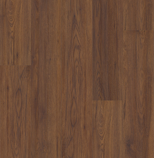 Fidalgo Oak