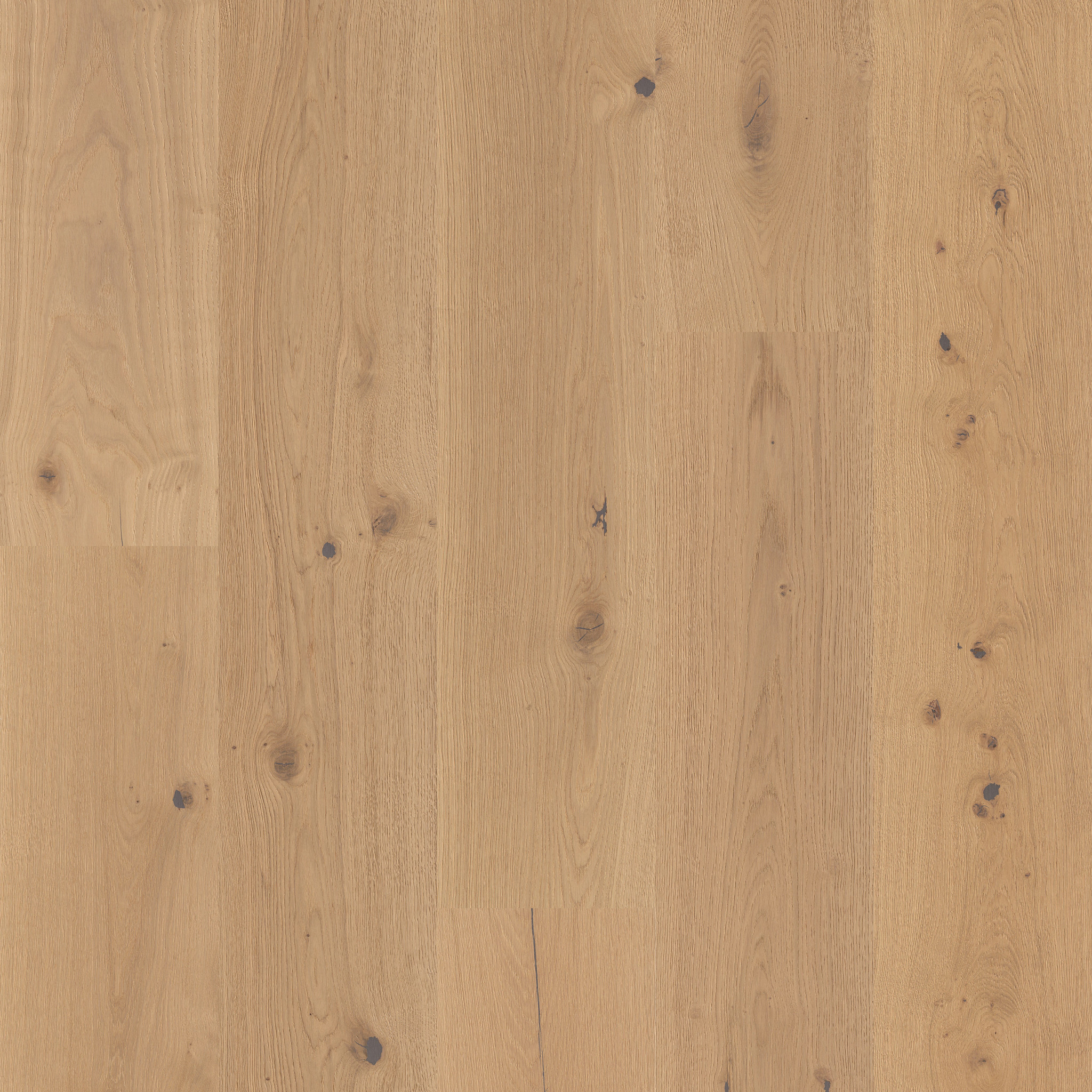 GRAND ESTATE THORNDON HALL MAIN