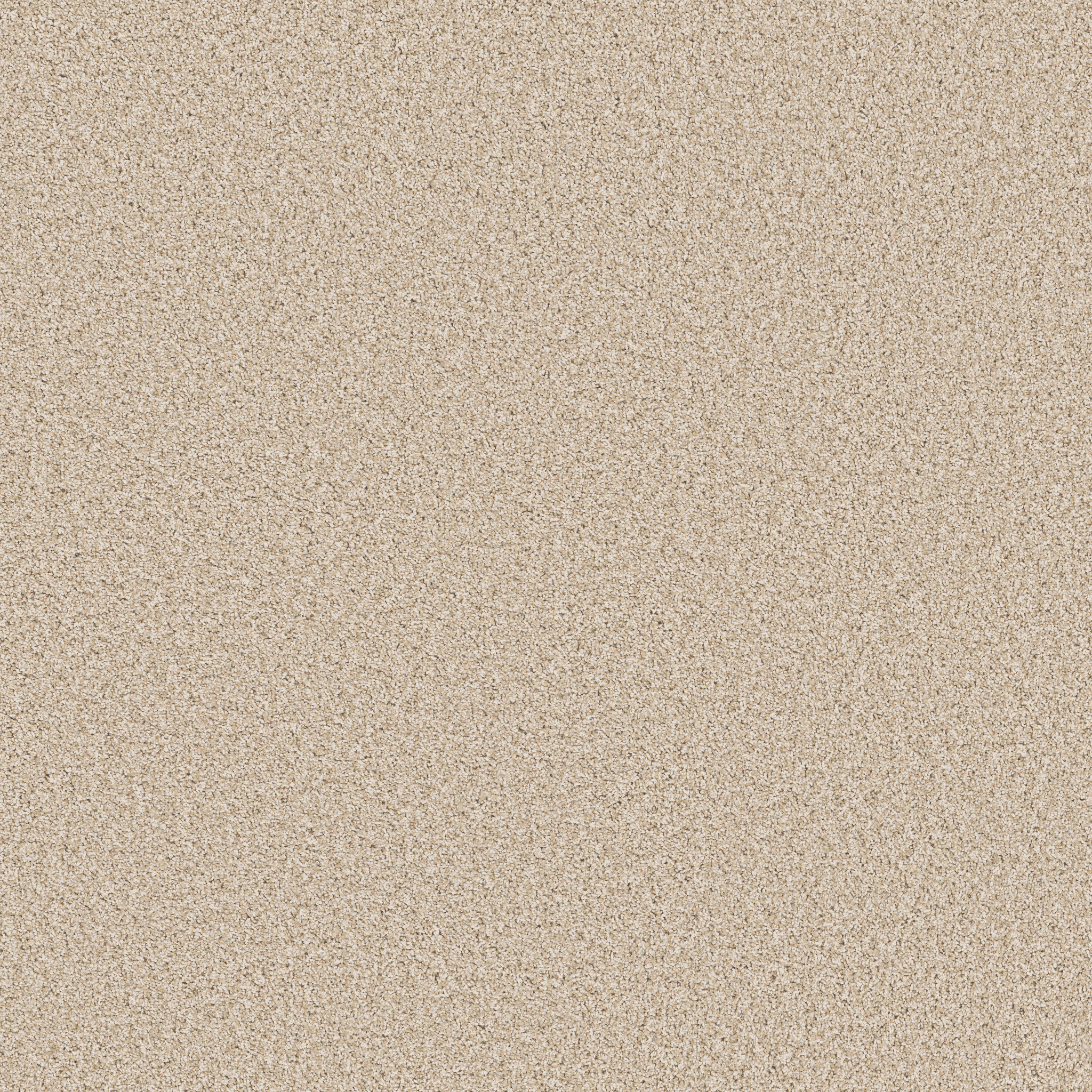 BELLA NOVA SALT AIR MAIN