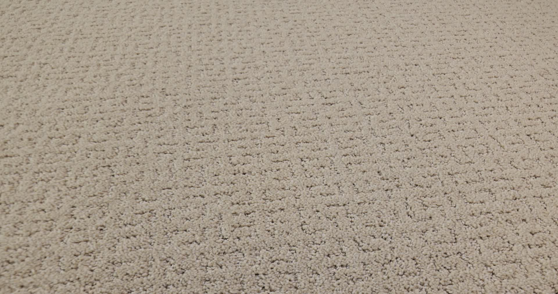 SECRET JOURNEY DUNE VIEW 360PROD