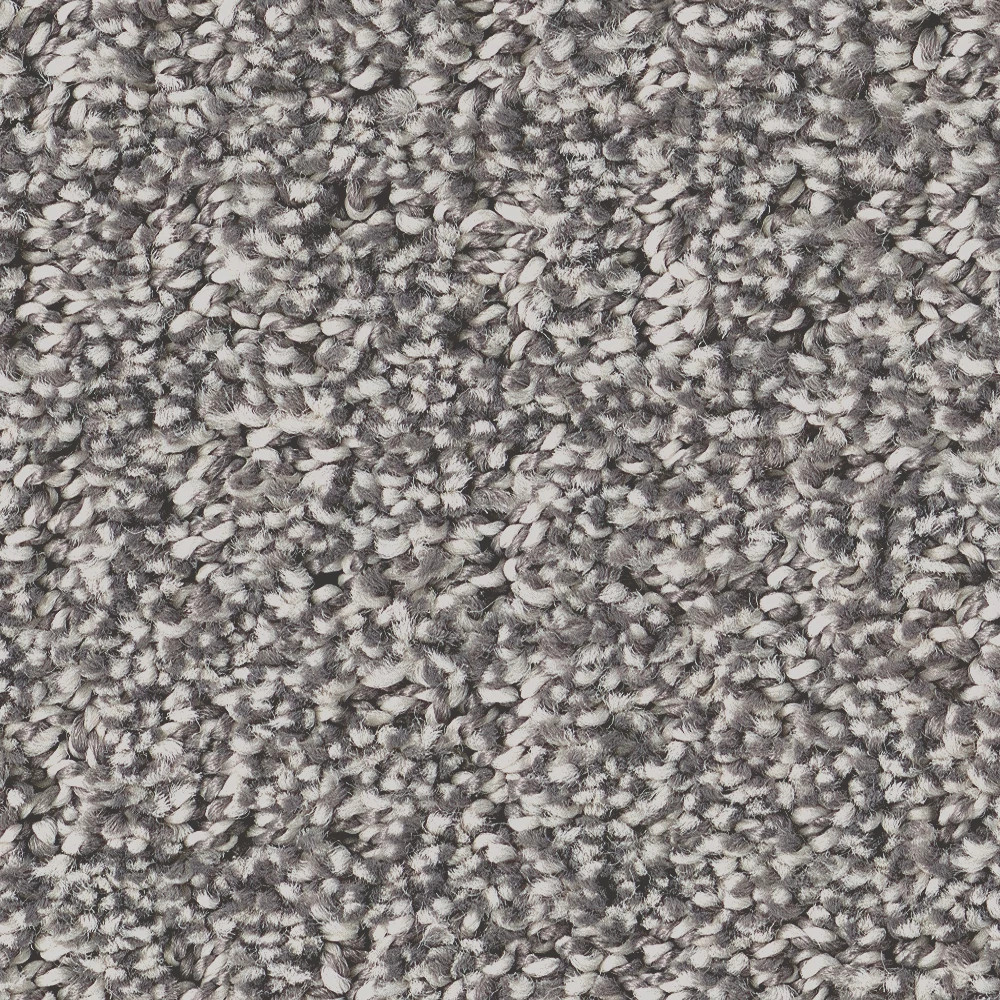 SECRET JOURNEY GRAPHIC SWATCH