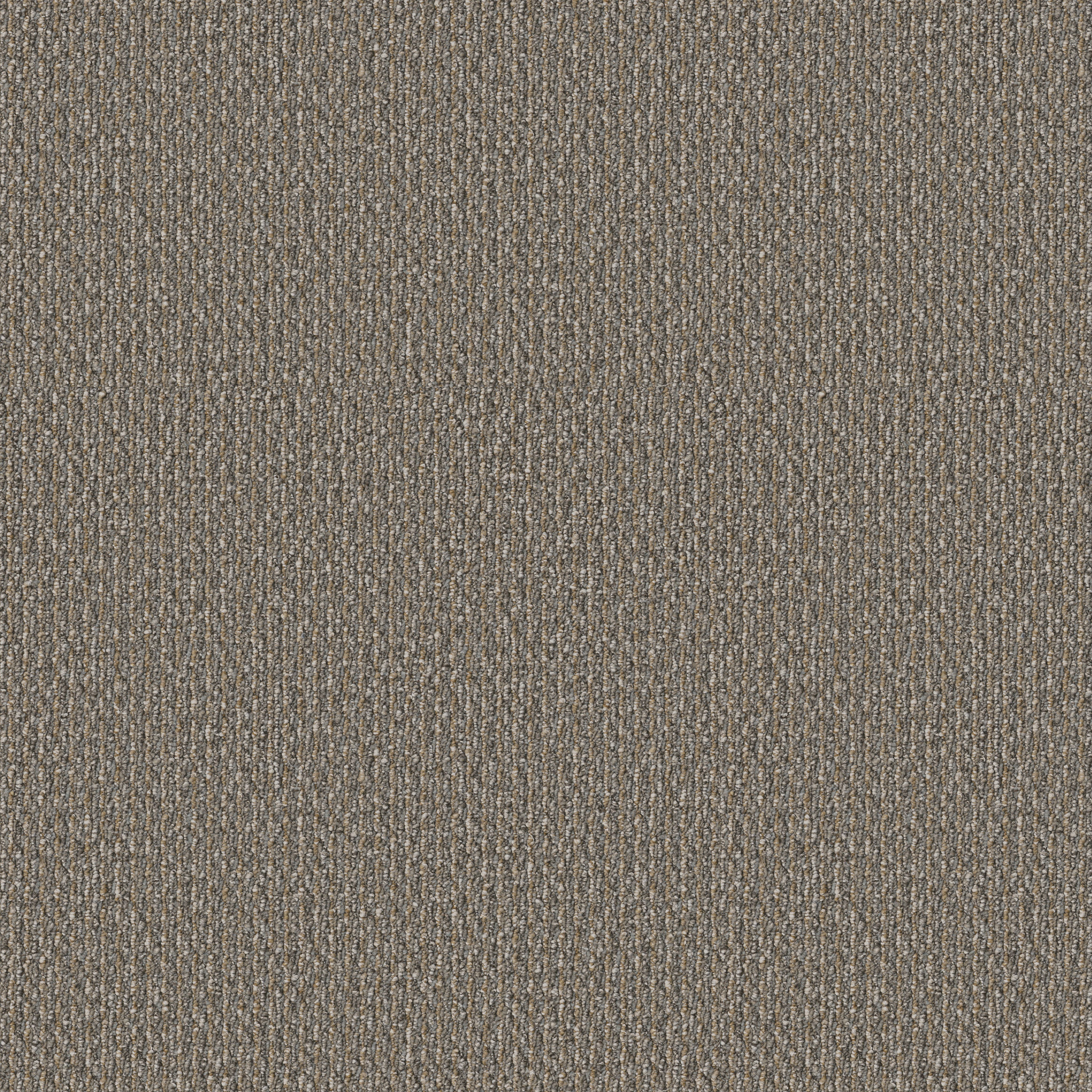 PRELUDE-54990-OVERTURE-00204-main-image