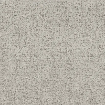 Durable light gray patterned carpet for a cozy home atmosphere Textured light gray patterned carpet swatch for everyday comfort and durability