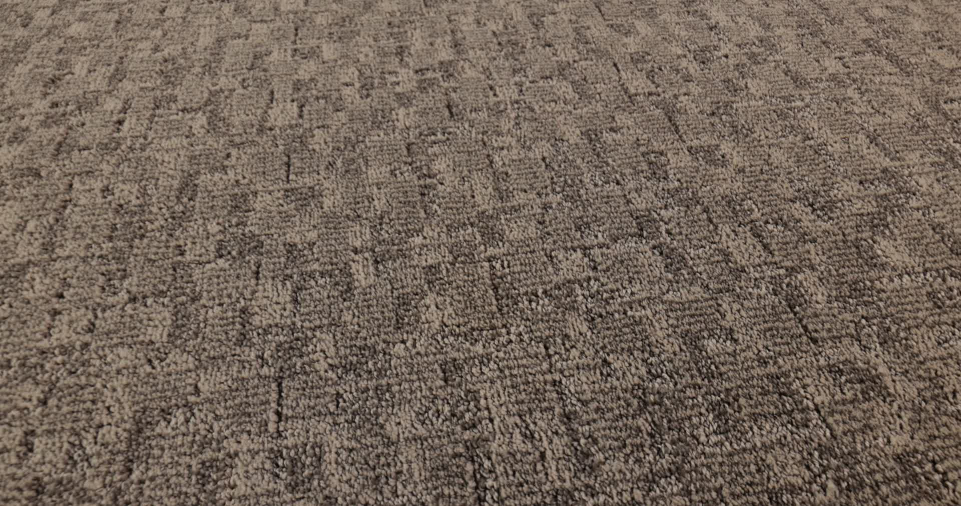 PAW-TAY DANVILLE 360PROD